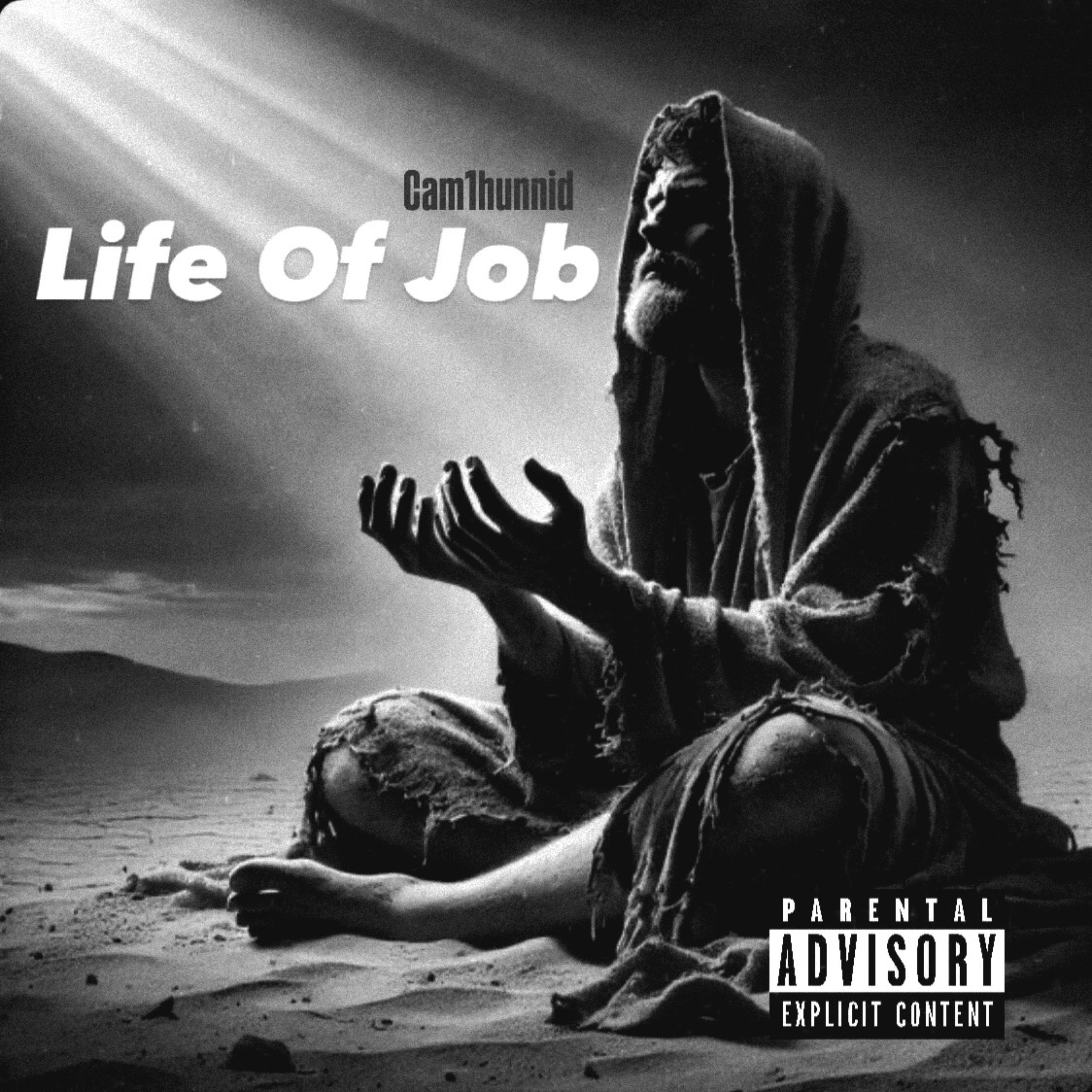 Life Of Job artwork
