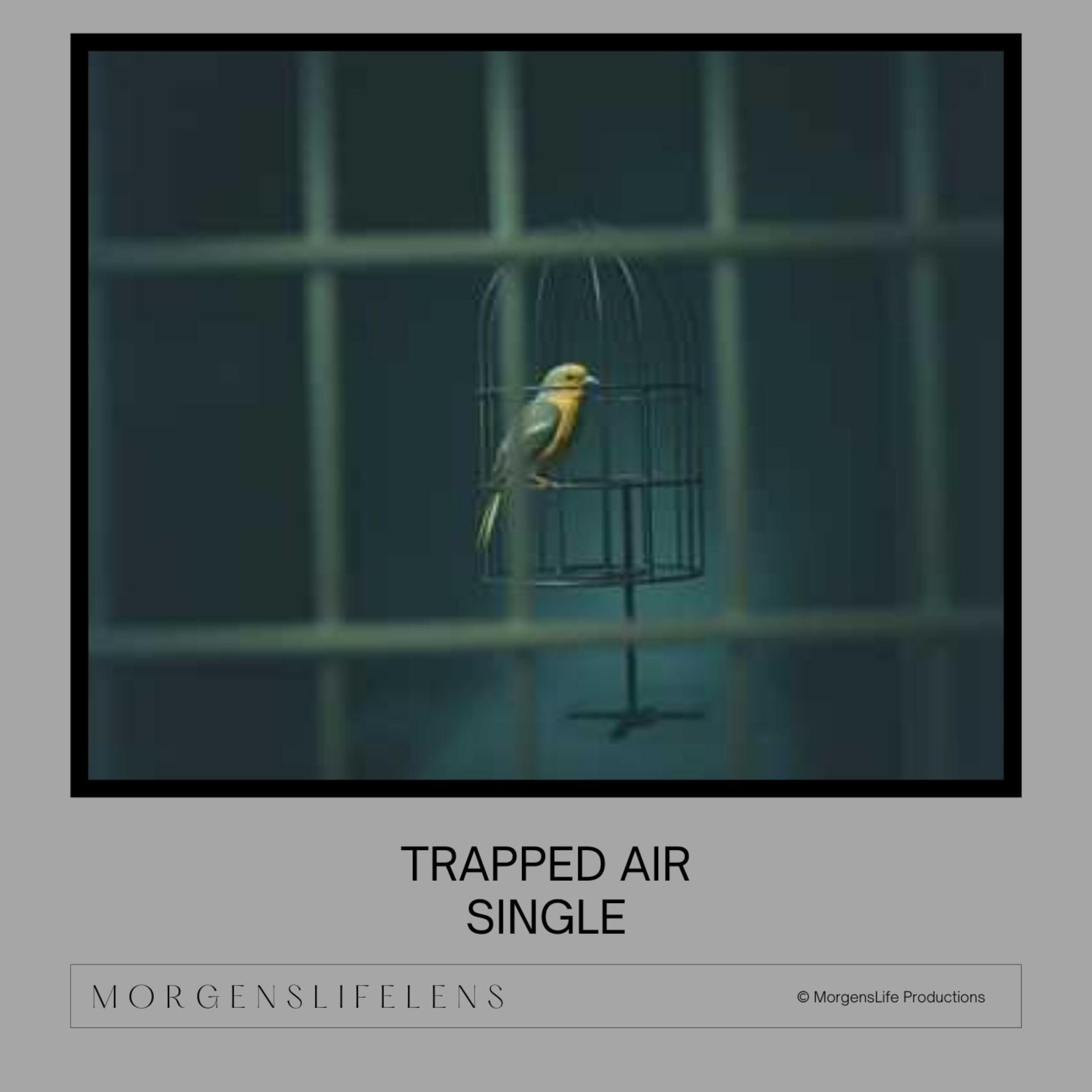Trapped Air artwork