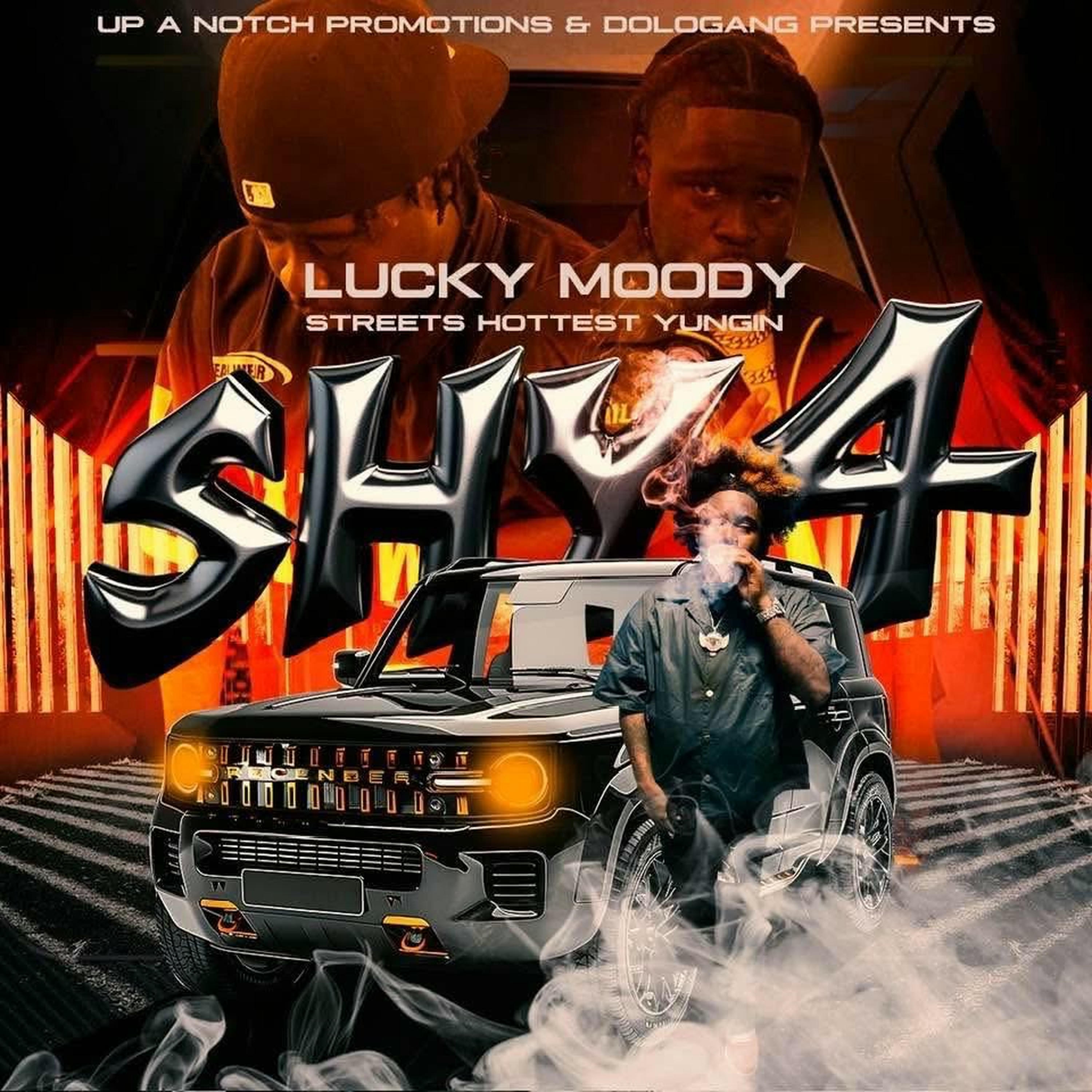 SHY 4 artwork