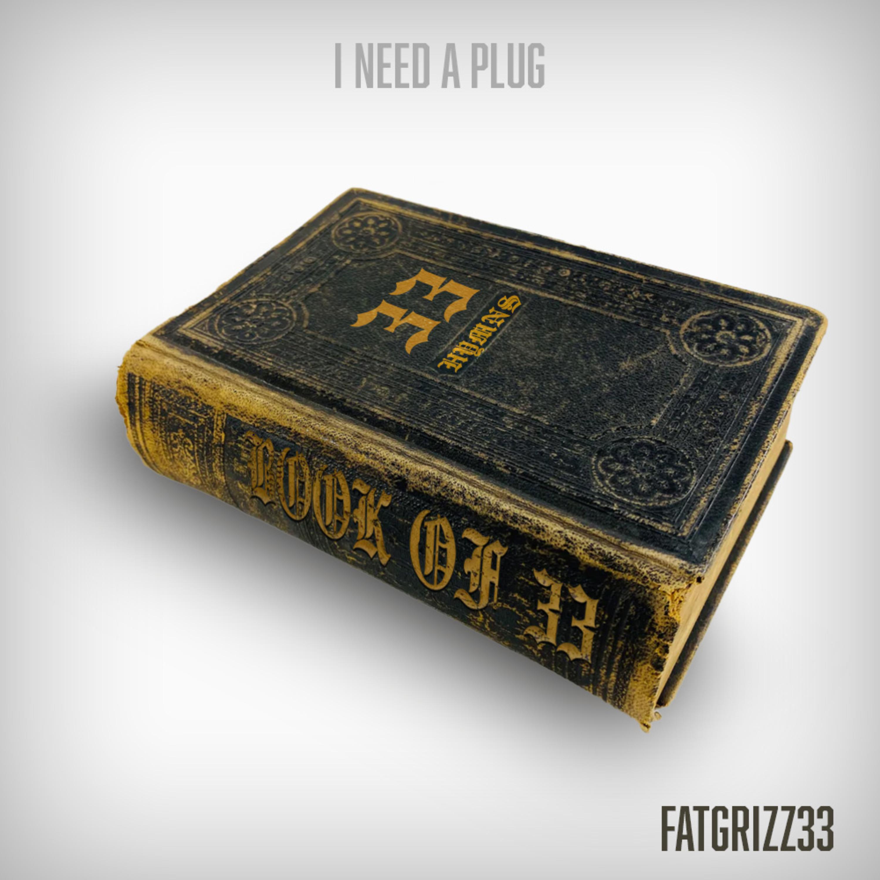 I Need A Plug artwork