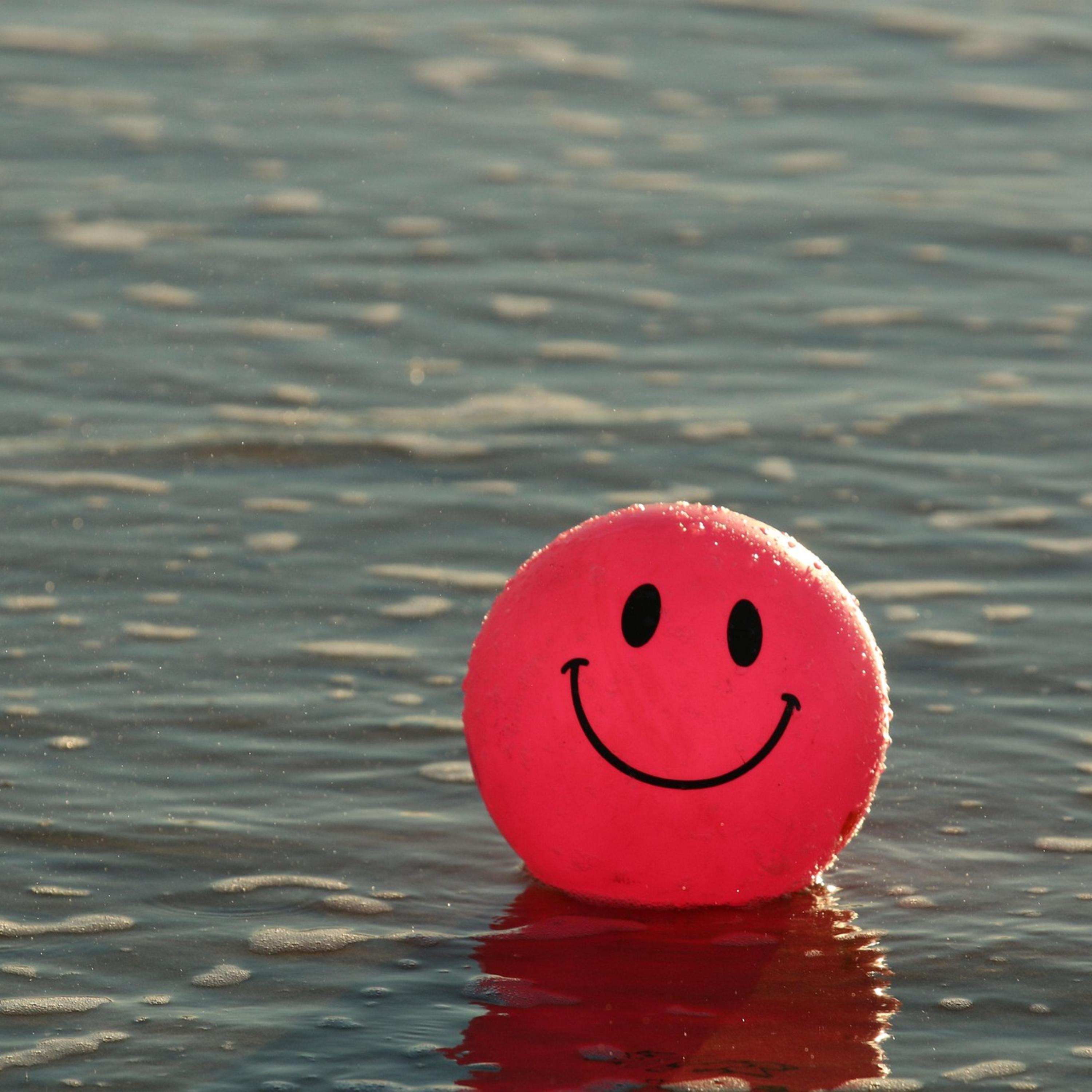 Infectious Happiness! artwork
