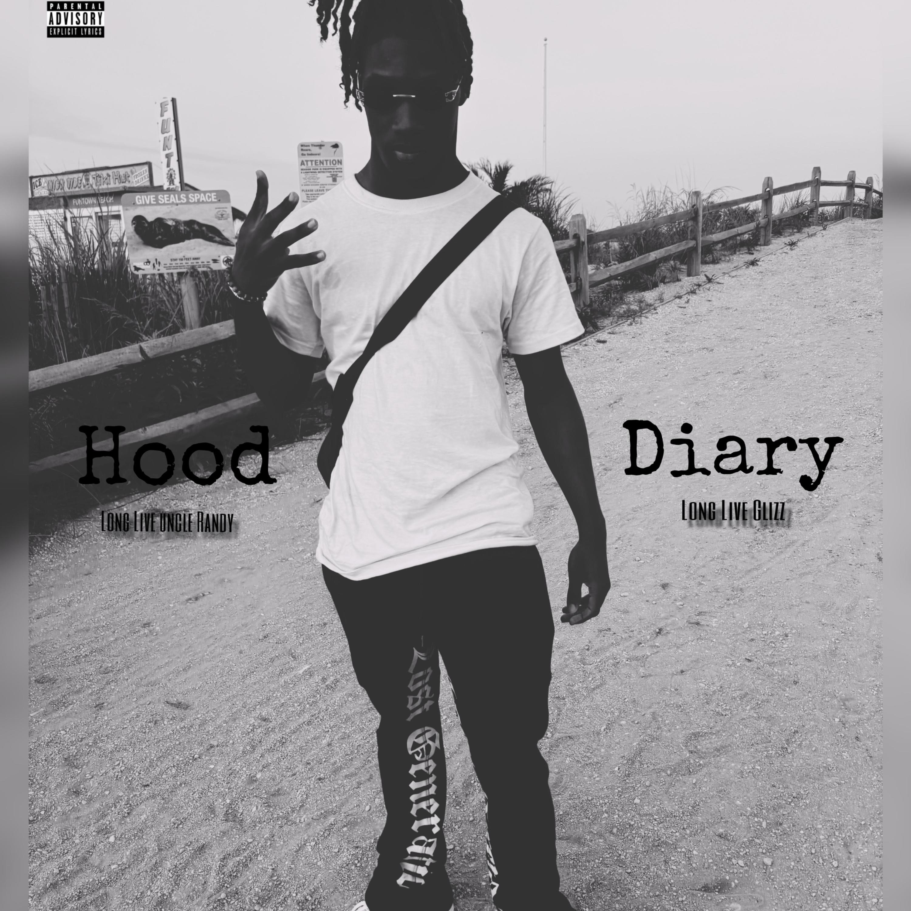 Hood Diary artwork