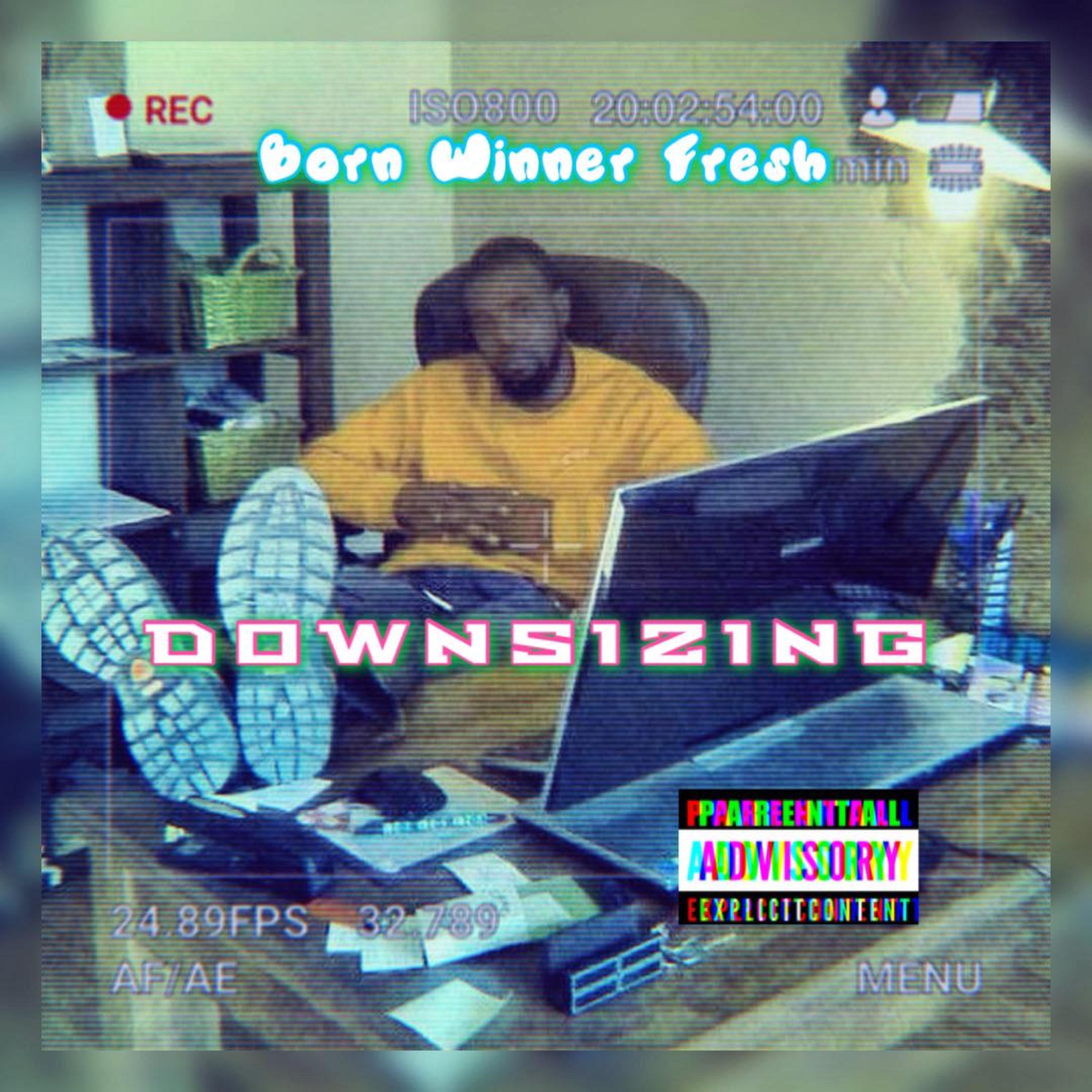 Downsizing artwork