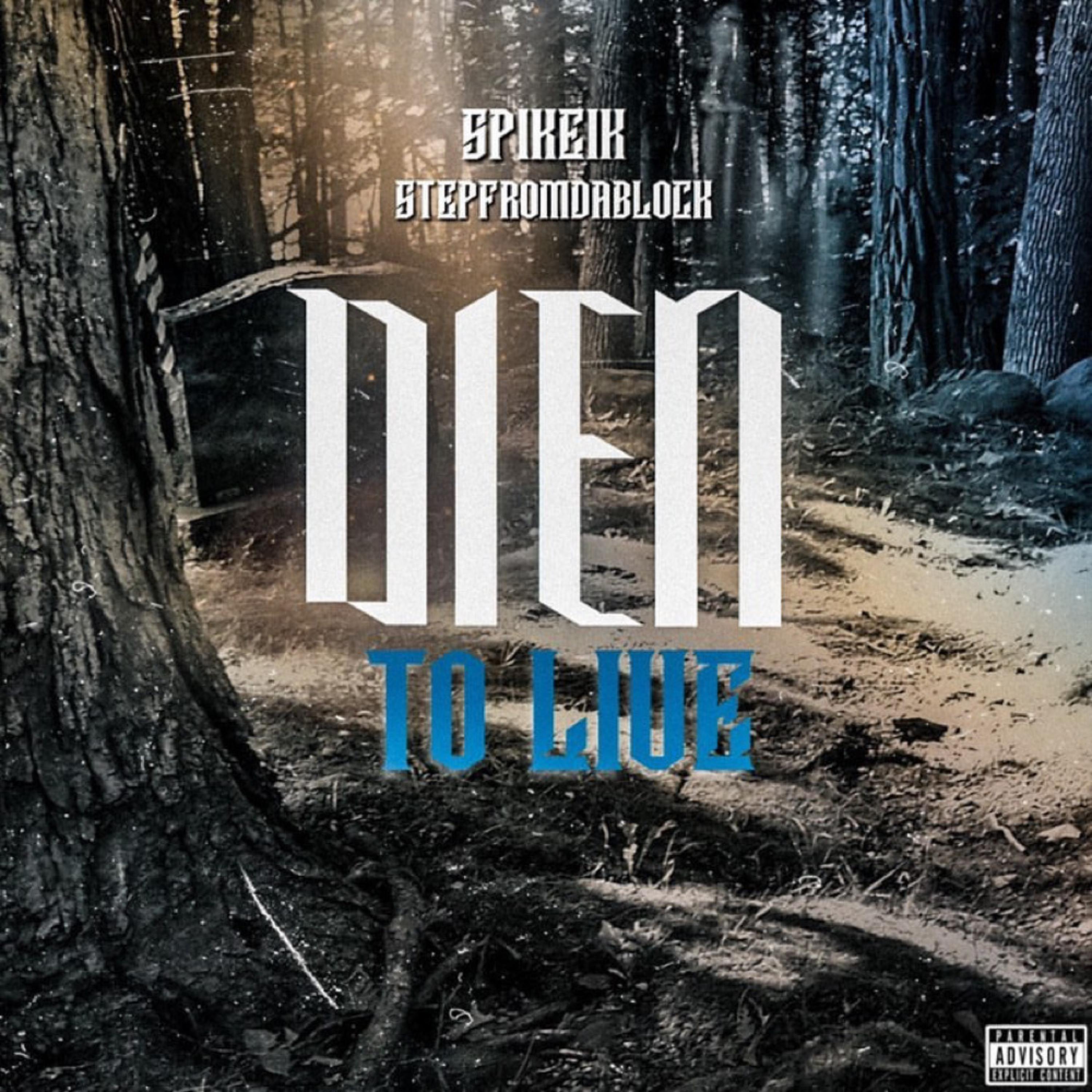 Dien To LIVE artwork
