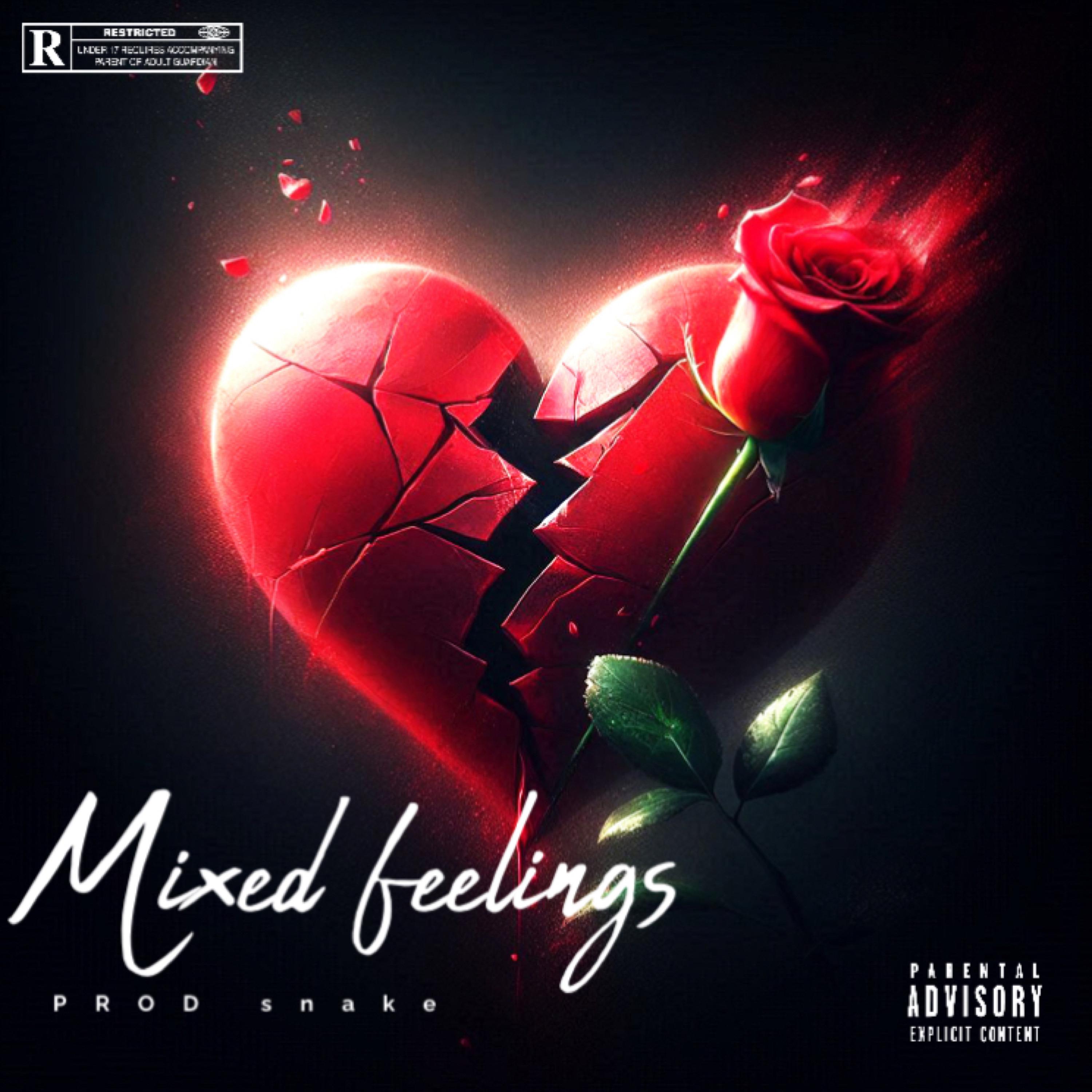 MIXED FEELINGS artwork