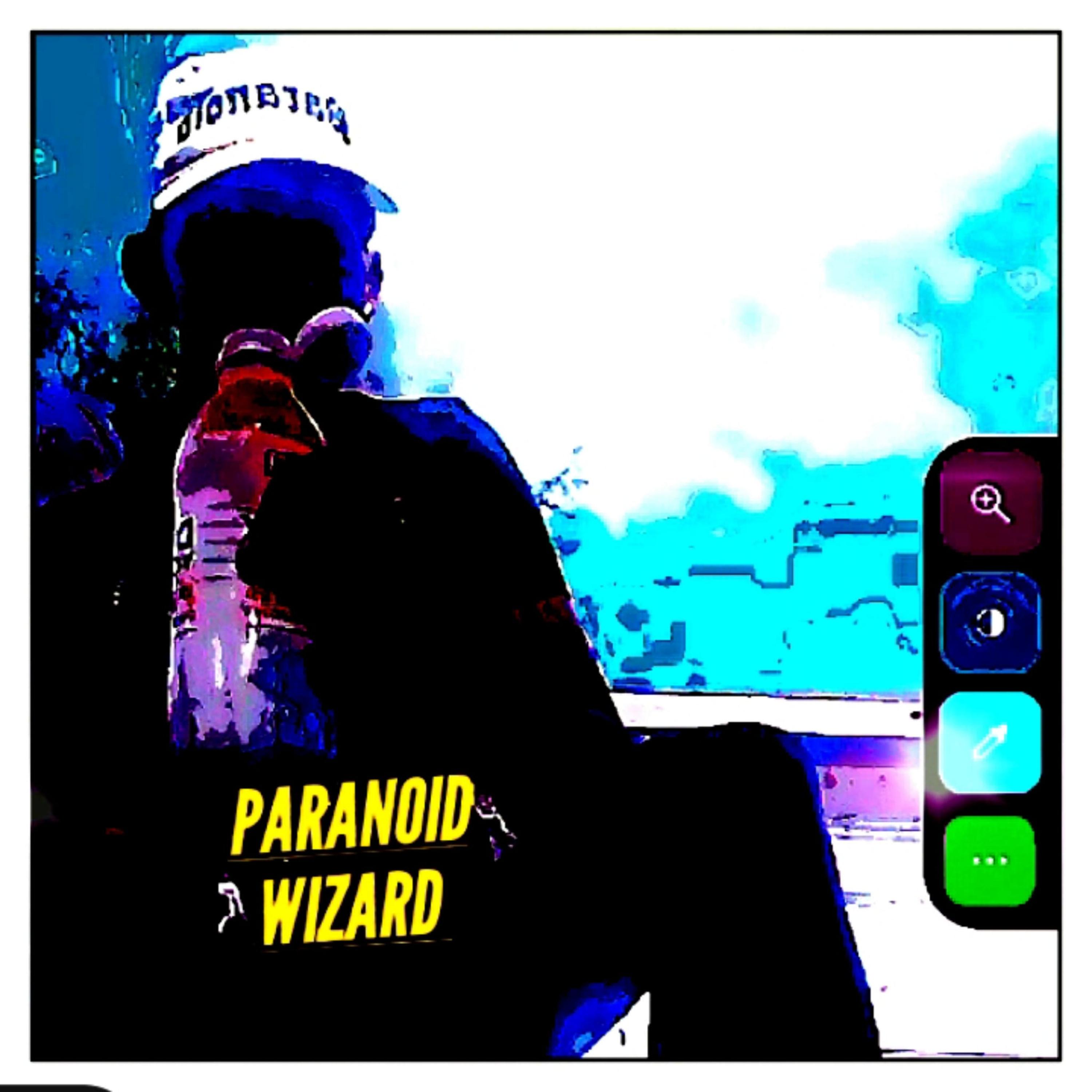 PARANOID WIZARD REVENGE artwork