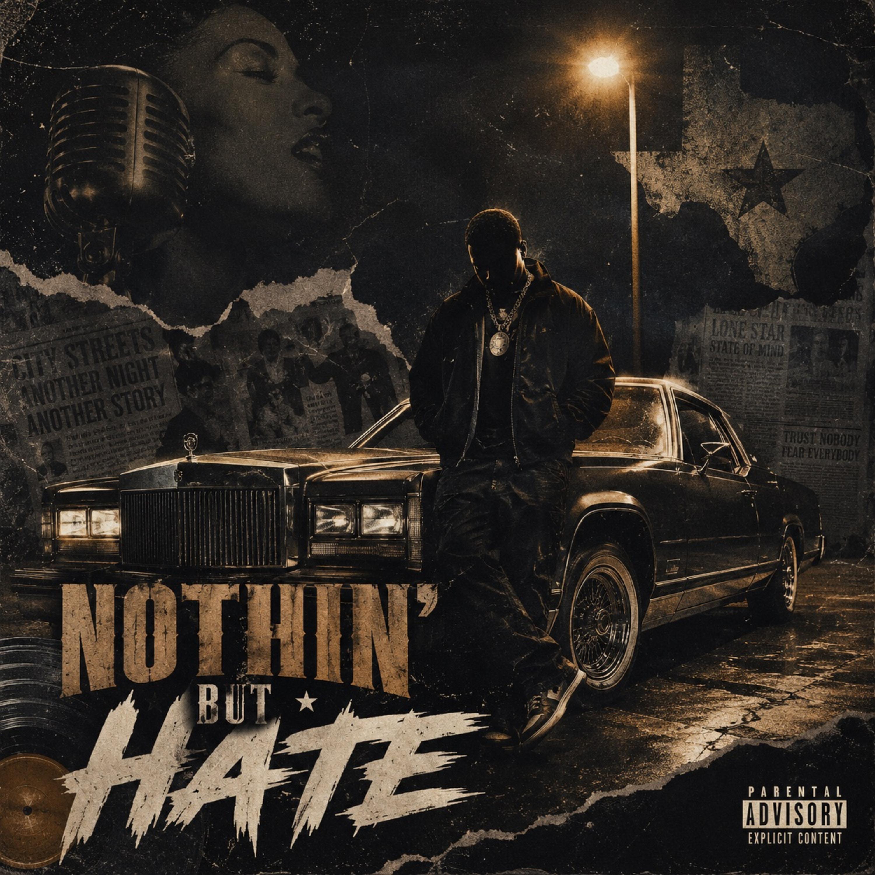 Nothin’ But Hate by The MetaMasher cover art
