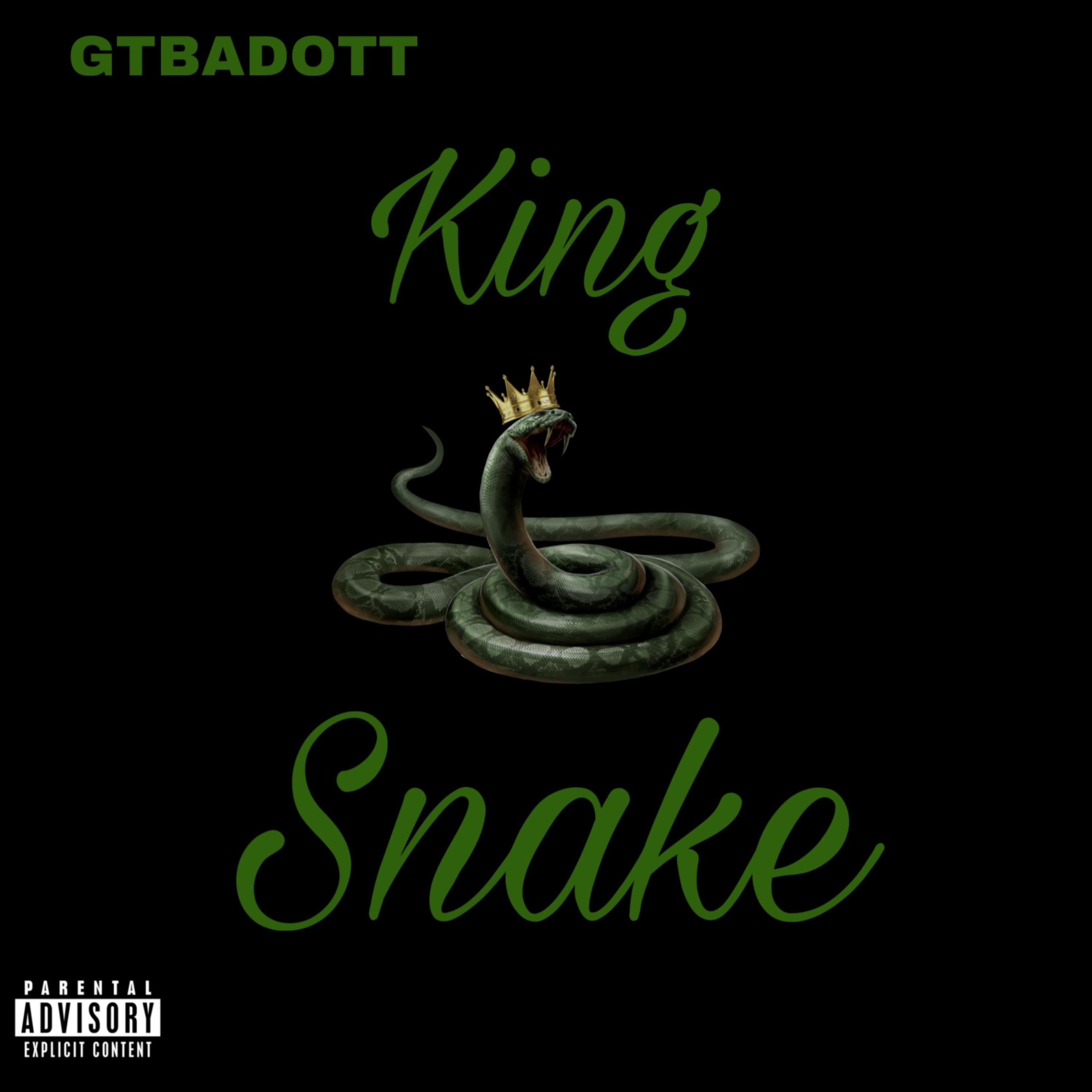 King Snake artwork