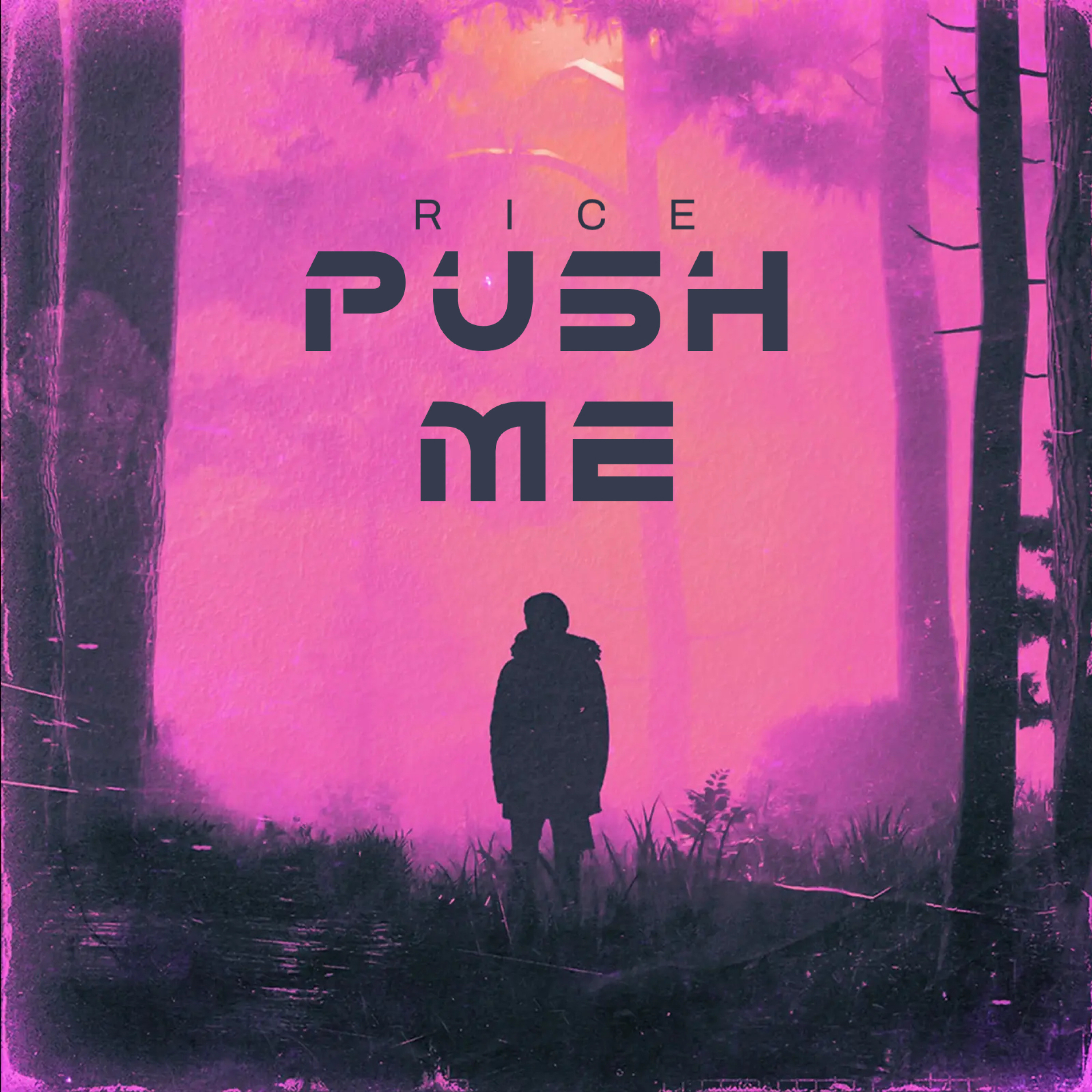 Push Me by RICE / DJ Bucket cover art