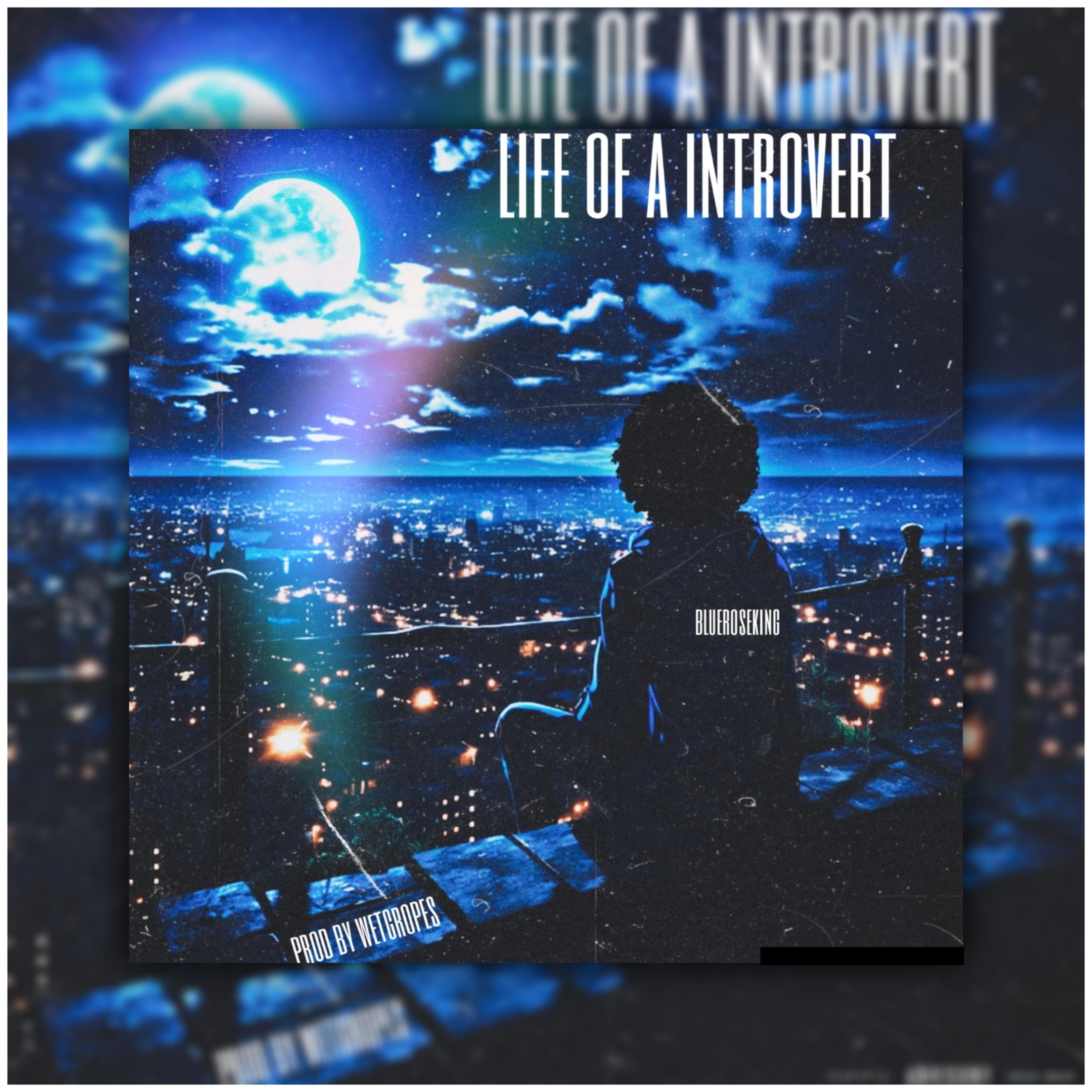 life of a introvert artwork