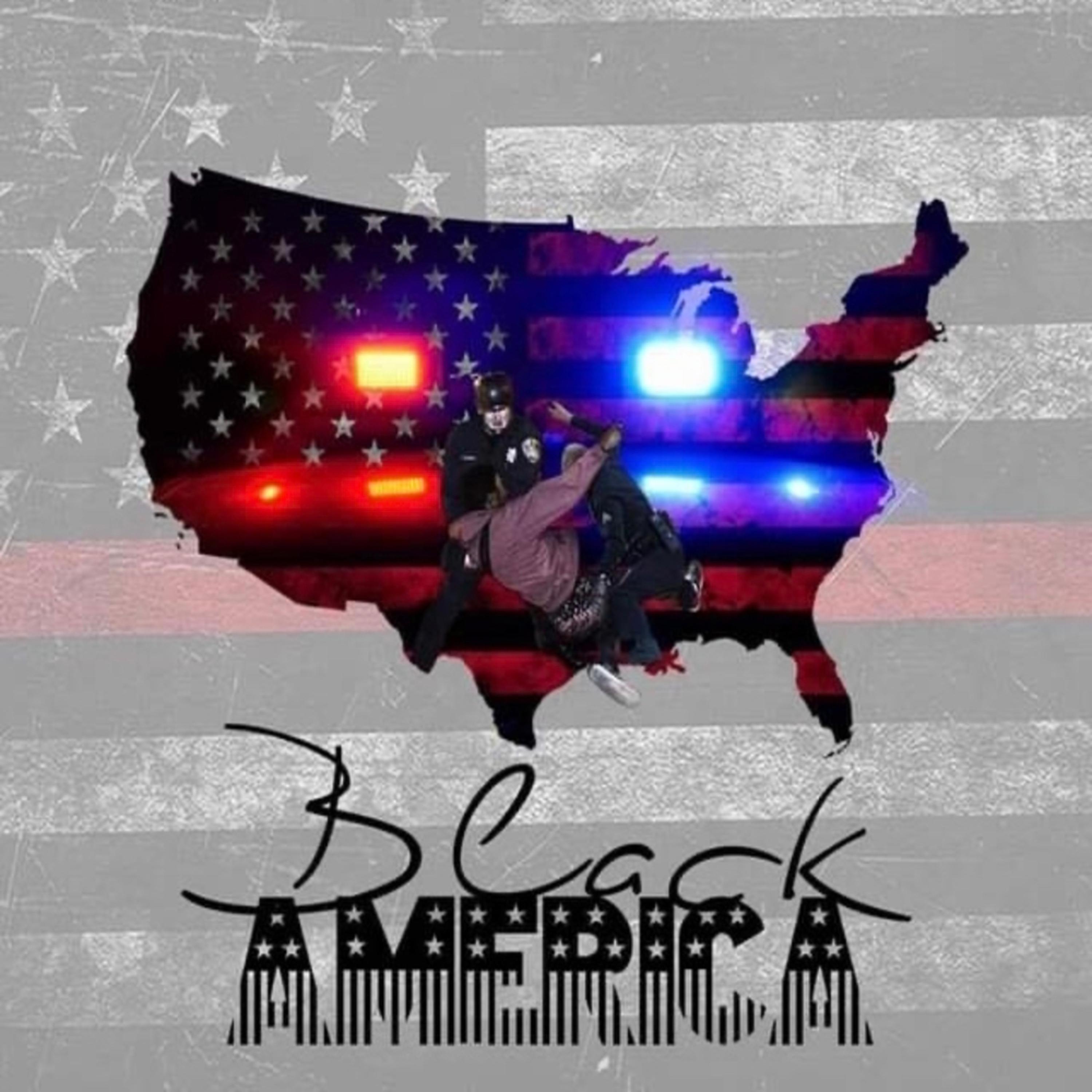Black America artwork