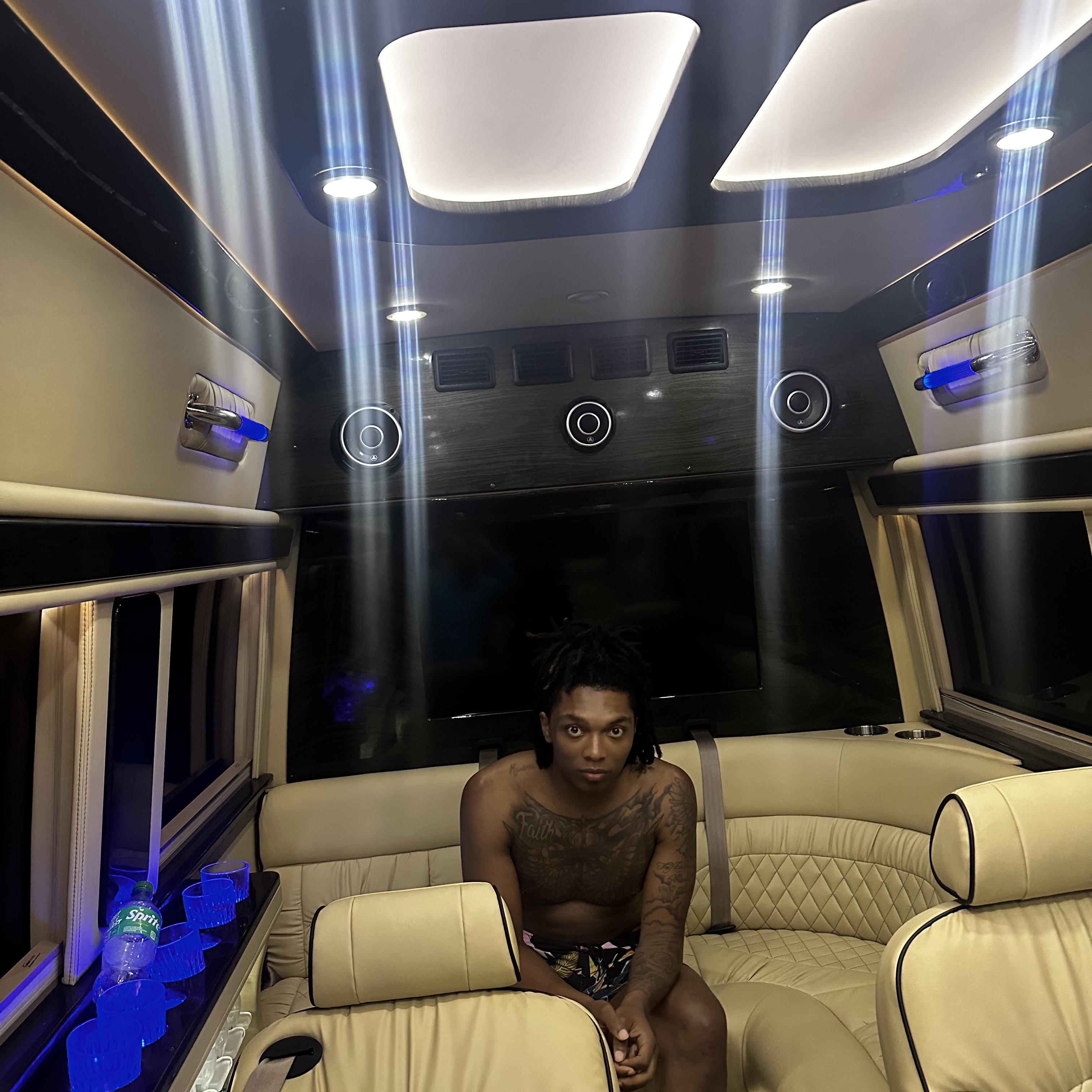 Sprinter Van artwork