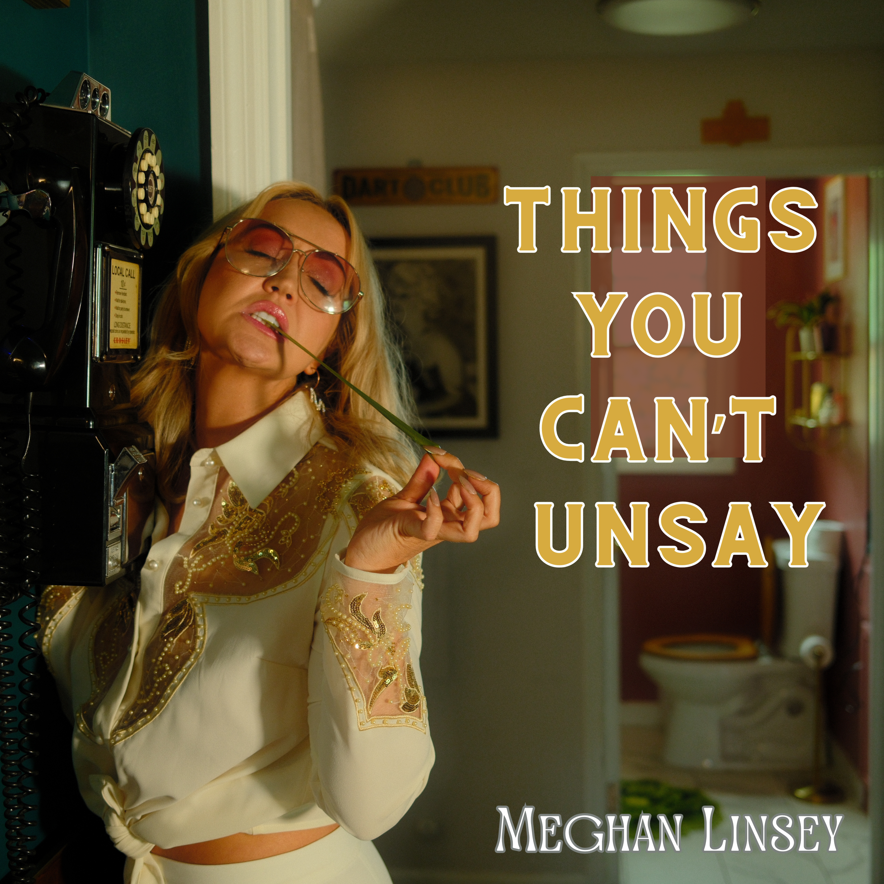 Things You Can't Unsay artwork
