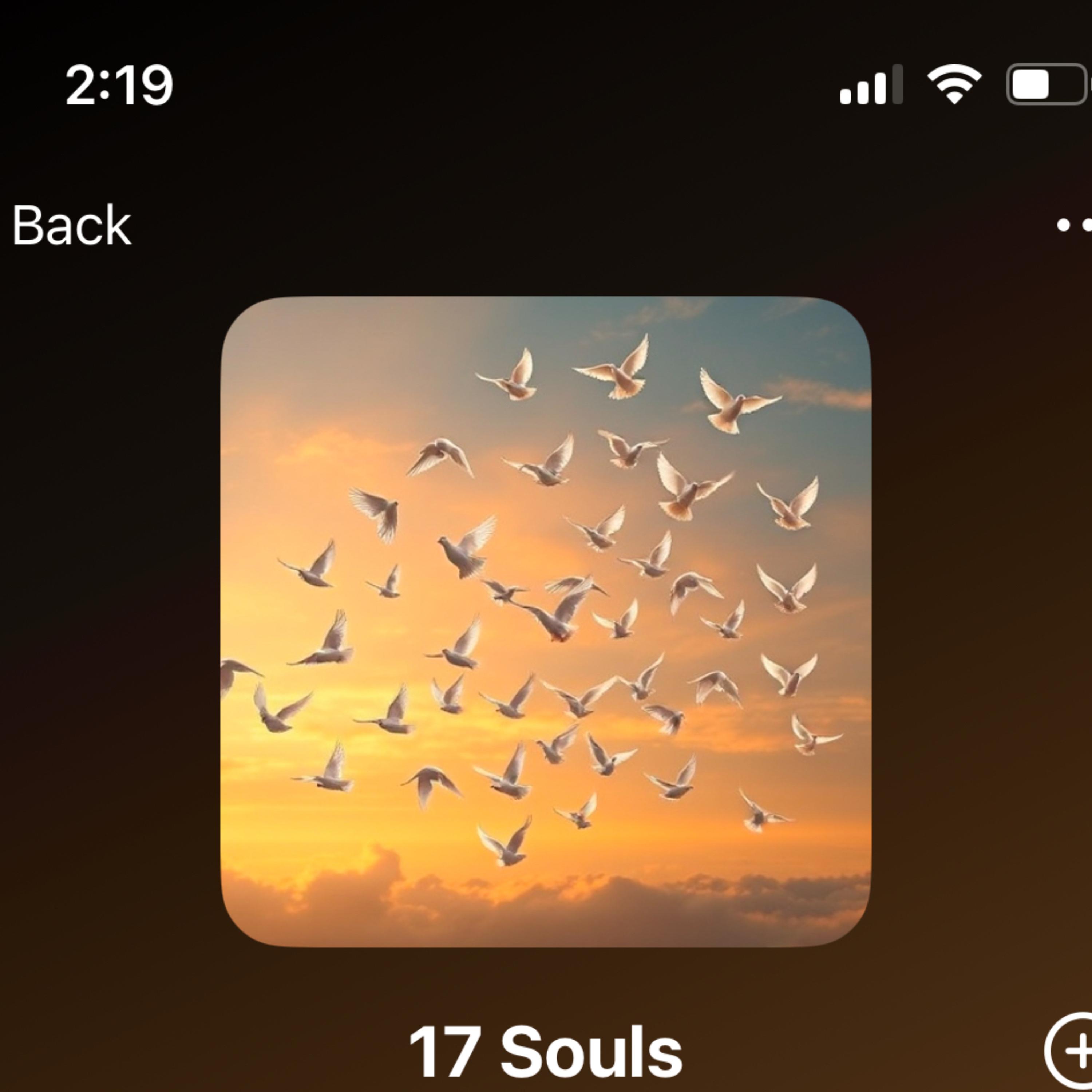17 Souls artwork