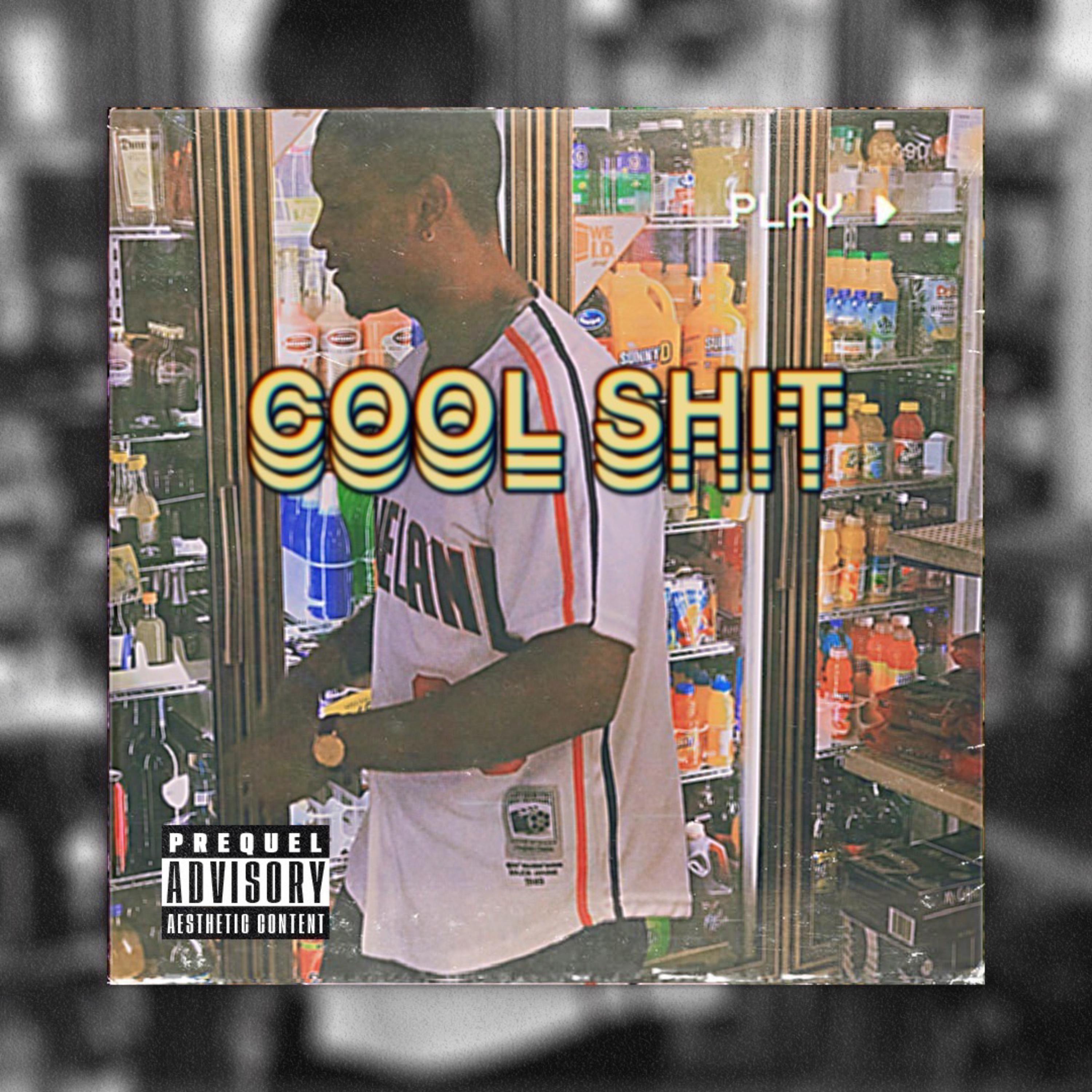 Cool Shit artwork