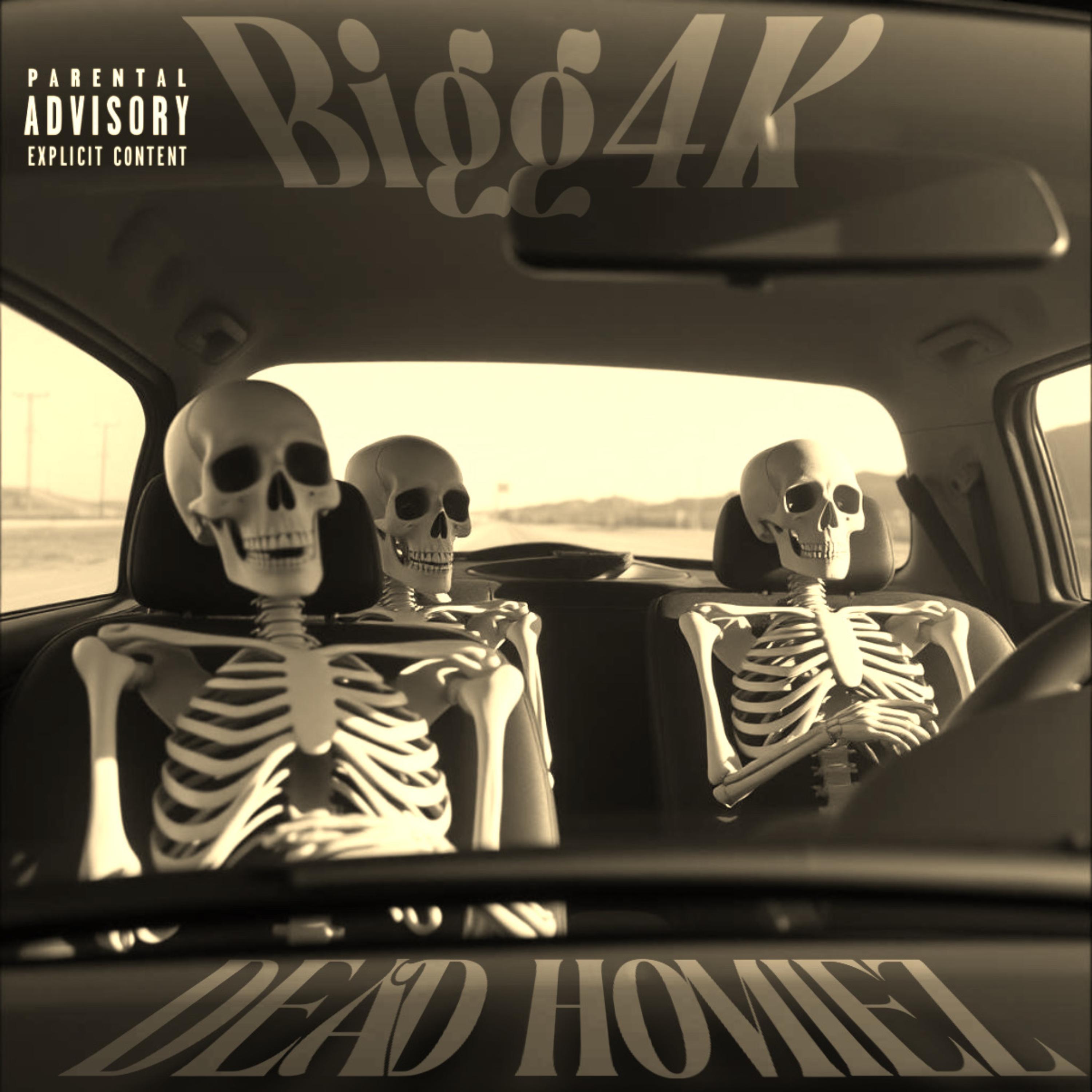 DEAD HOMIEZ artwork