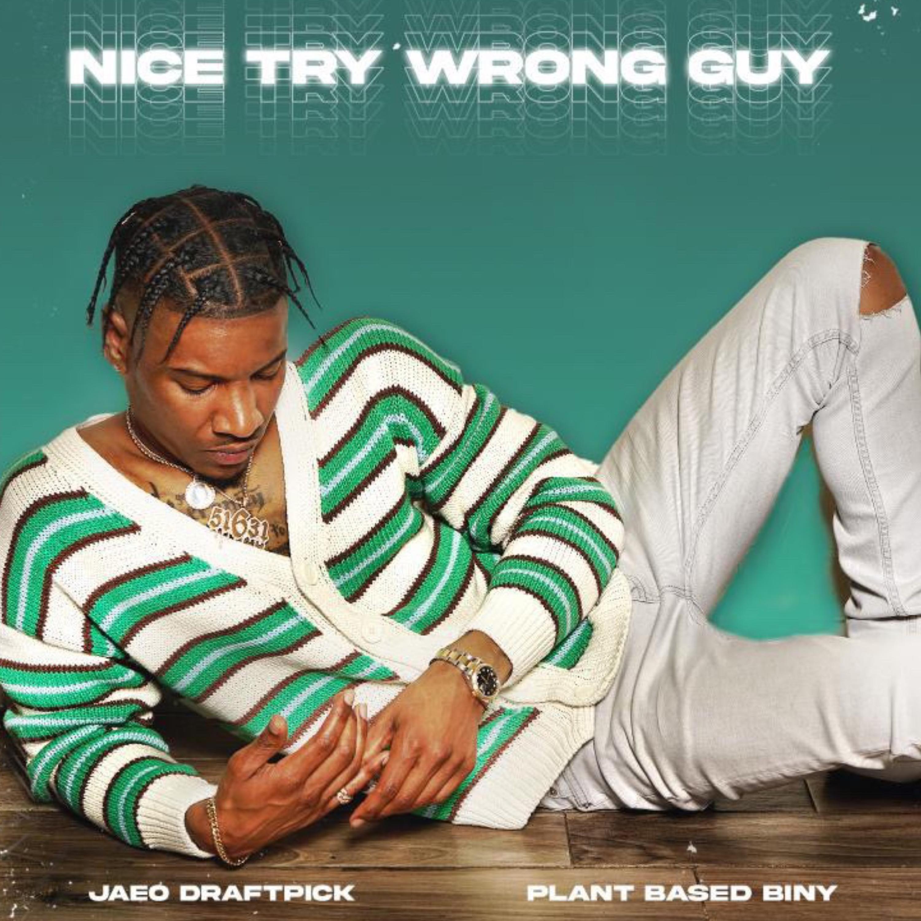 Nice Try Wrong Guy artwork