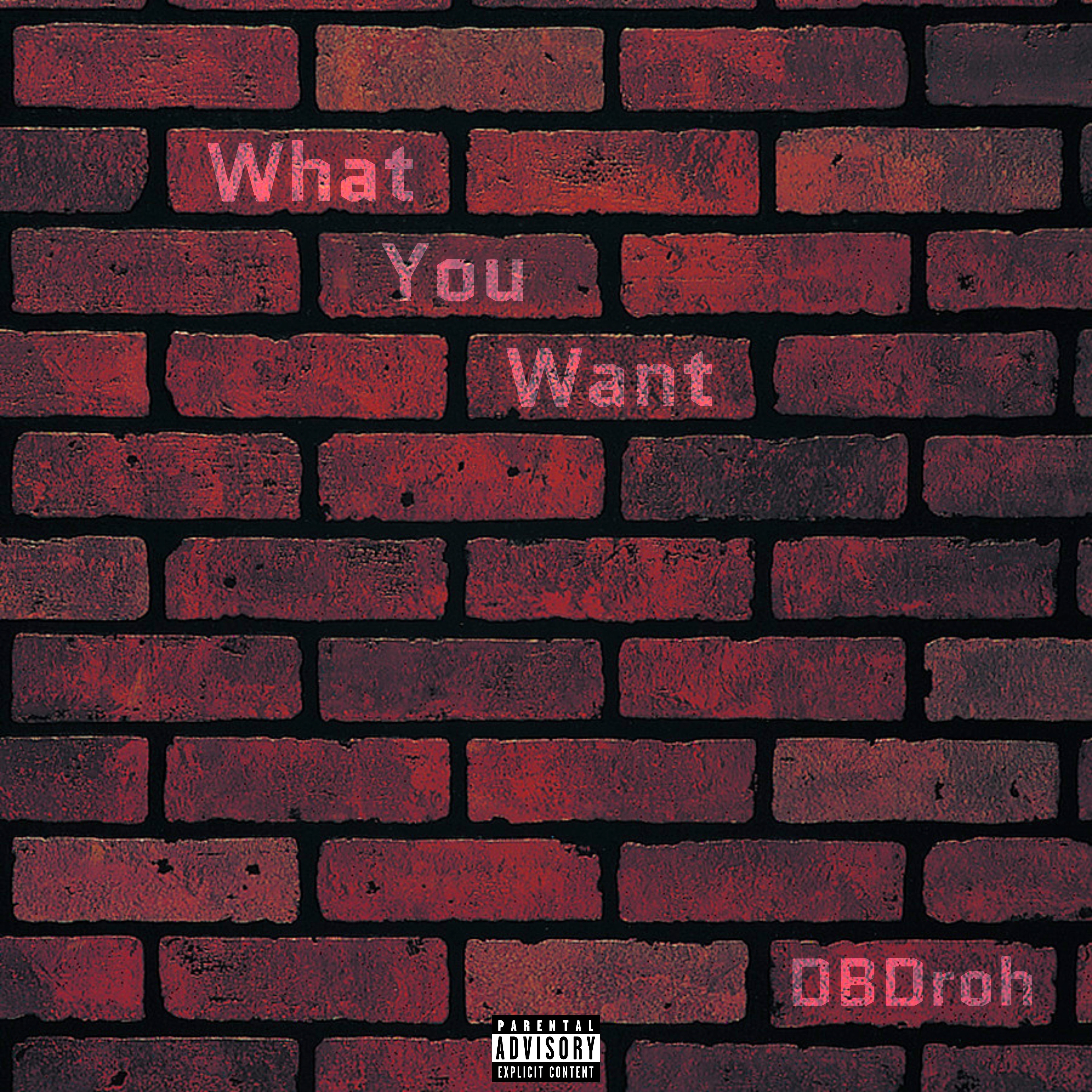 What You Want artwork