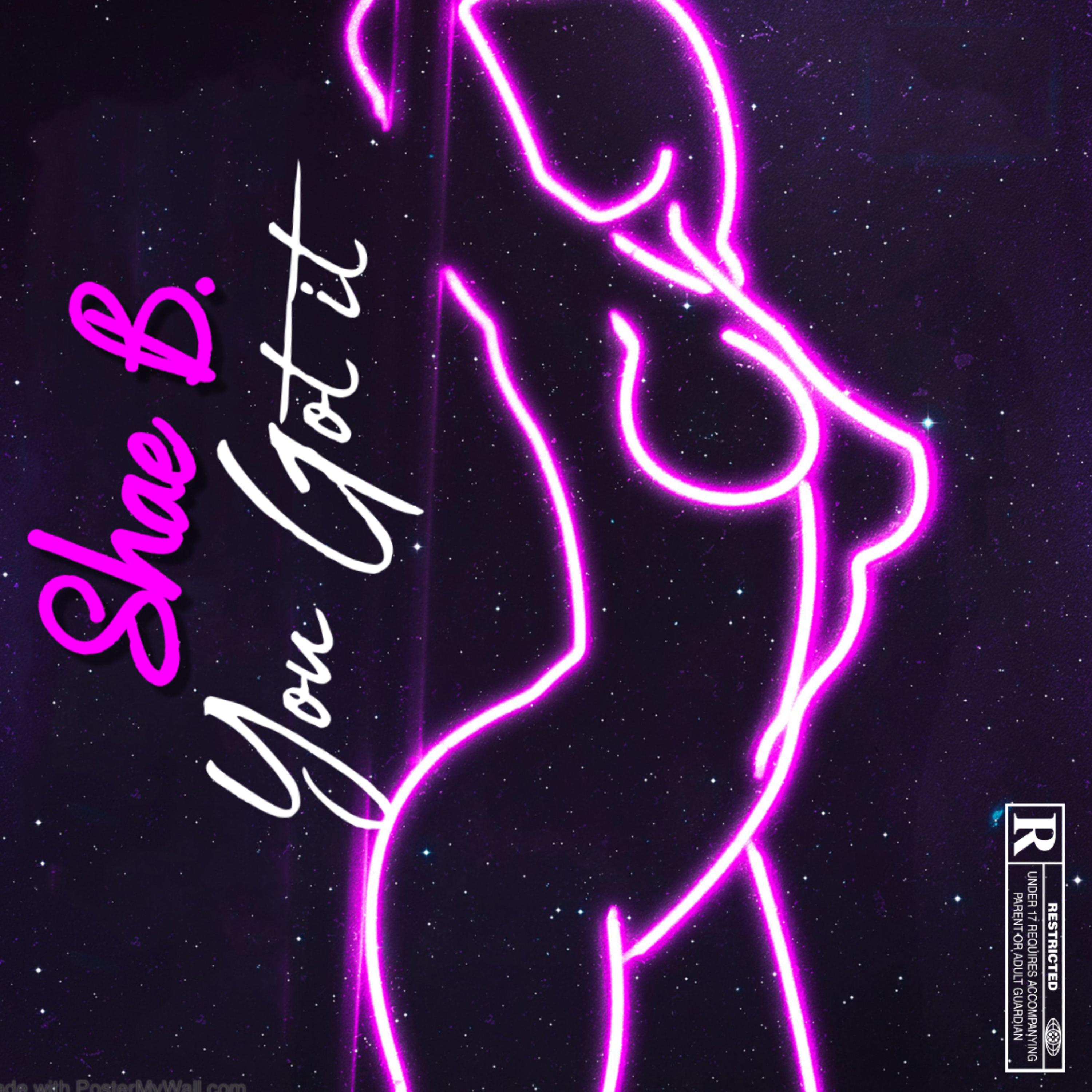 You Got It by Shae B cover art