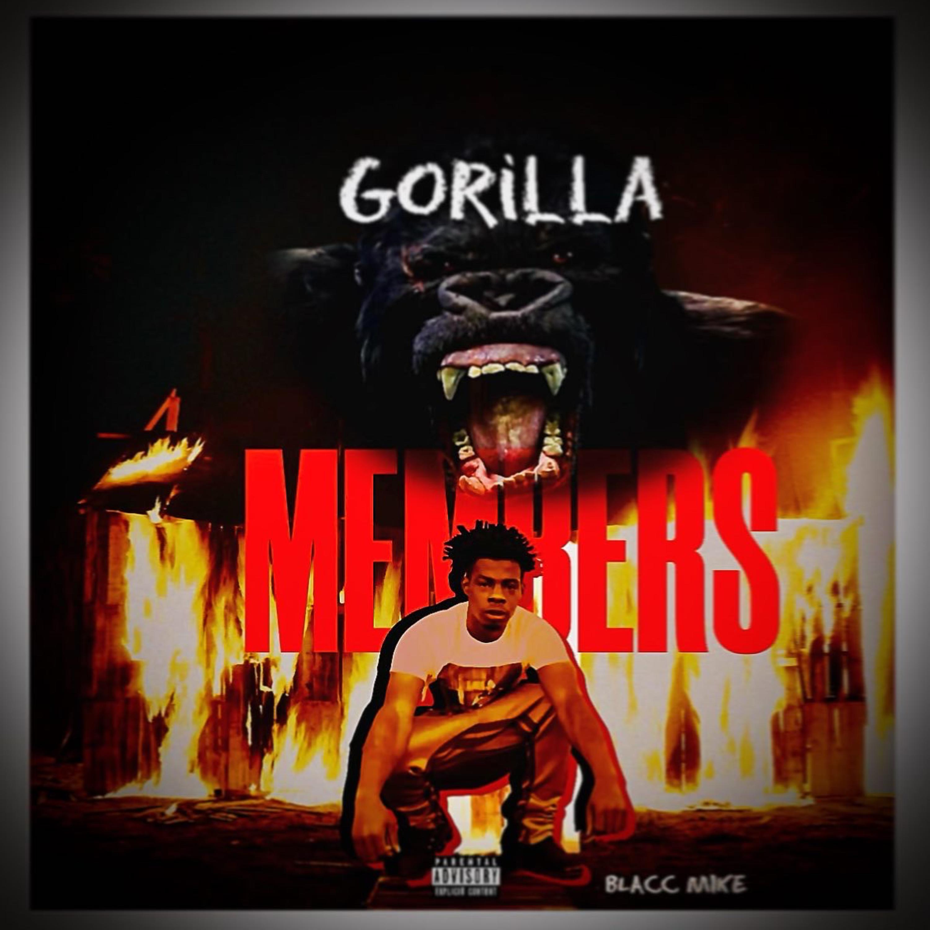 GorillaMembers artwork