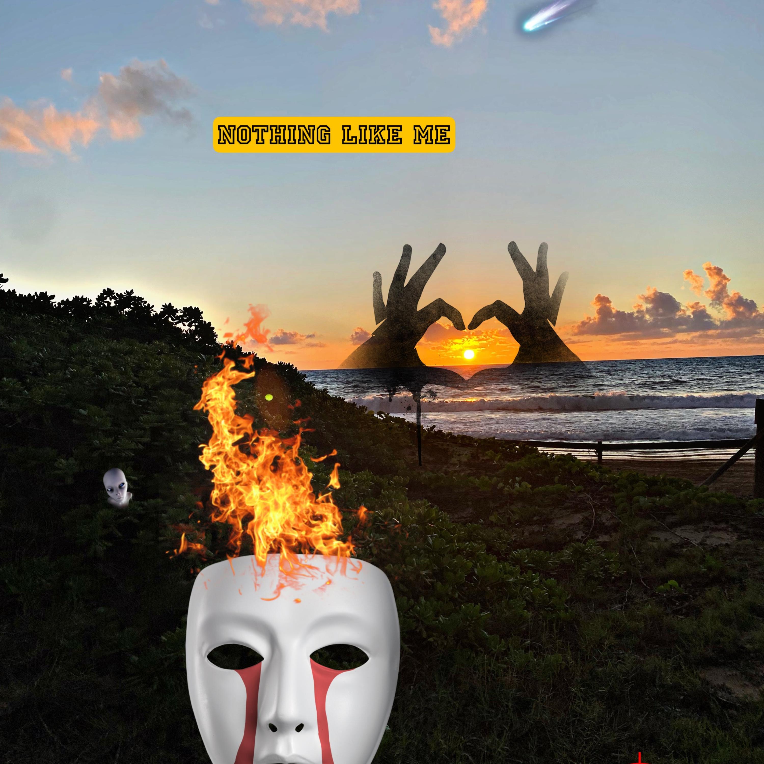 Nothing Like Meee artwork