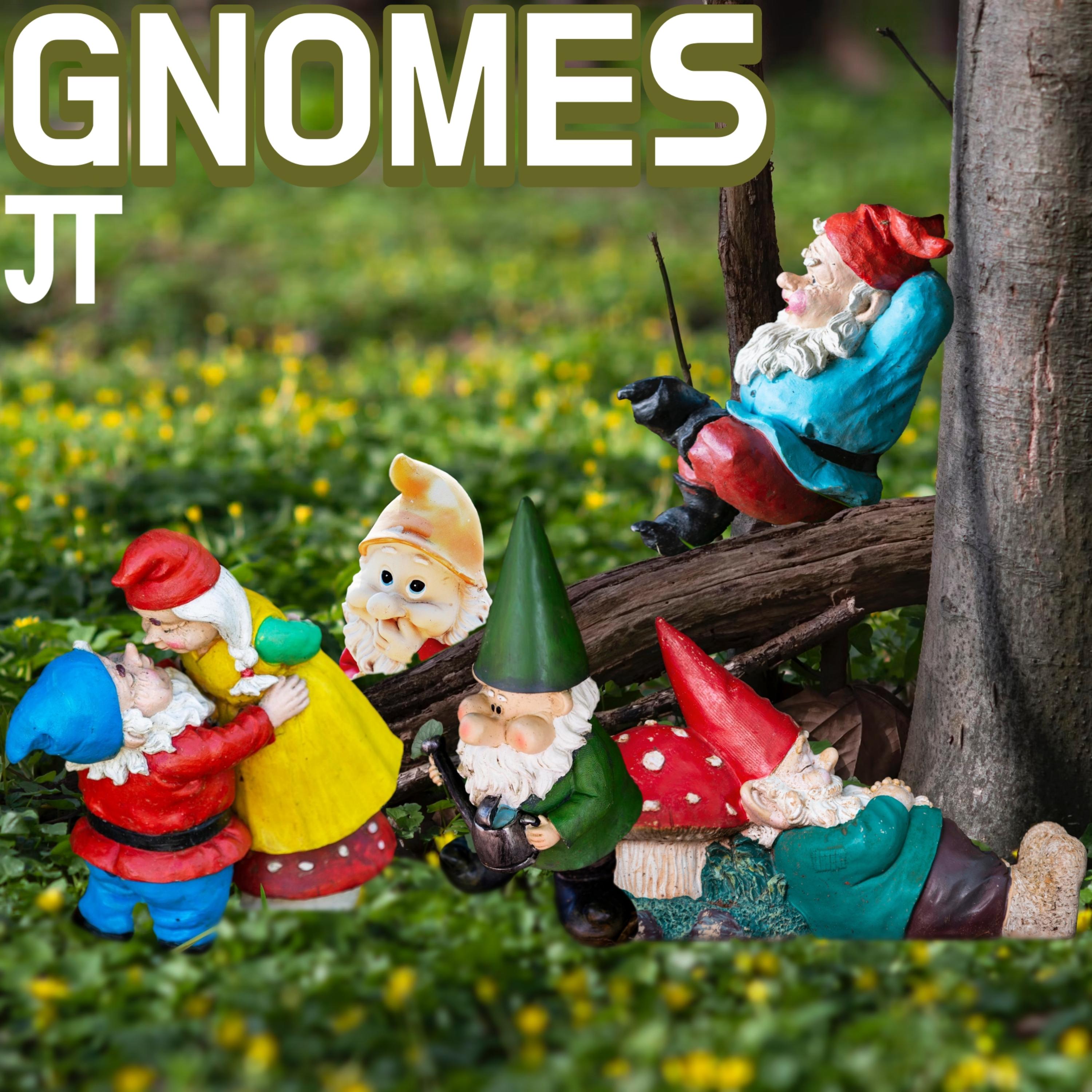 Gnomes artwork