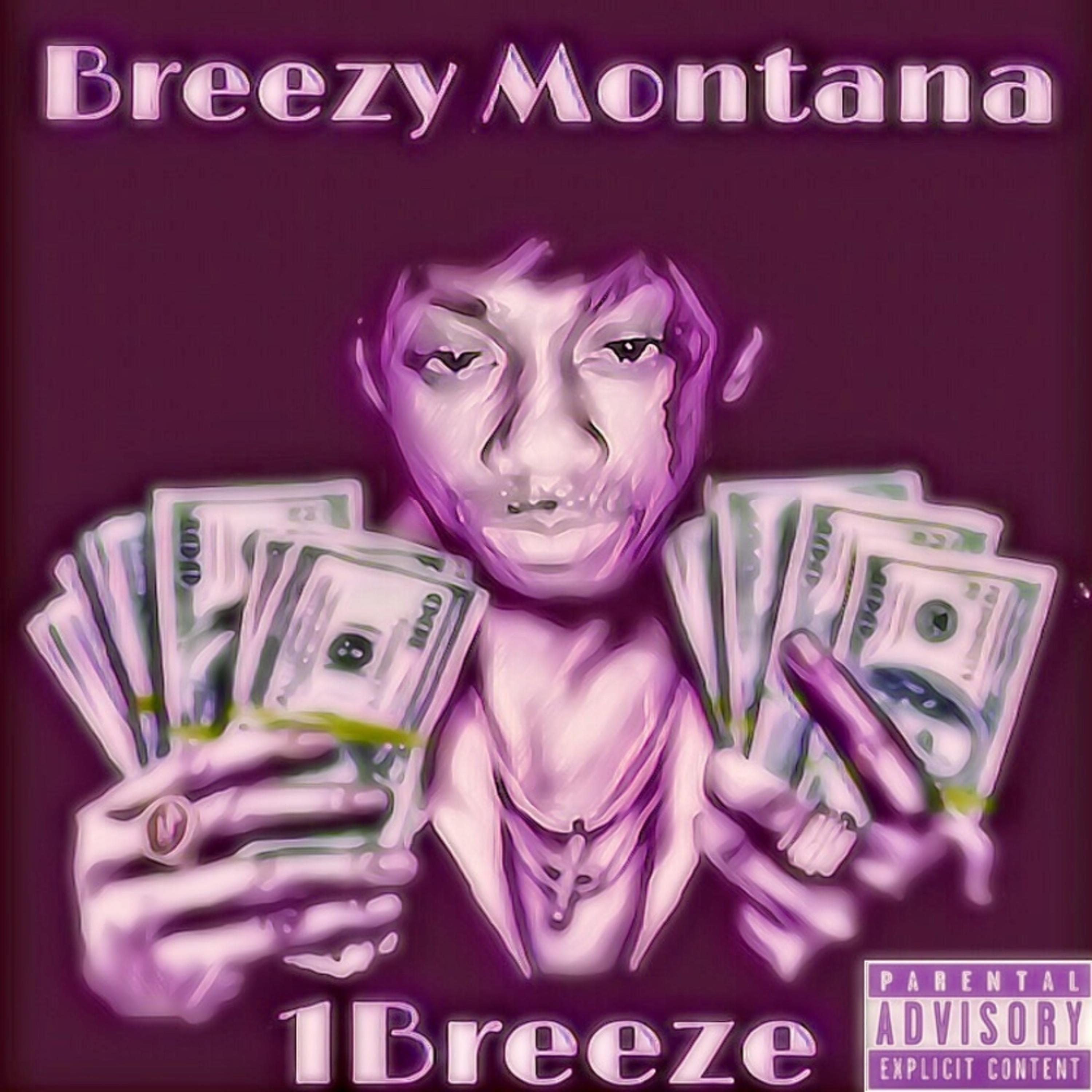 Breezy Montana artwork