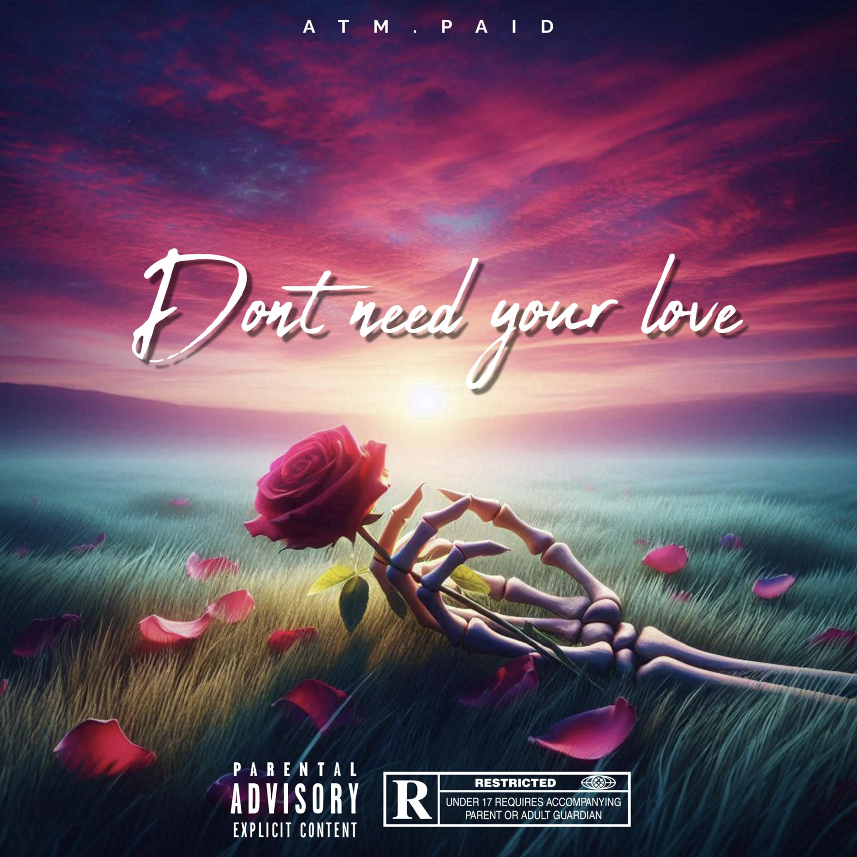 Dont Need Your Love artwork
