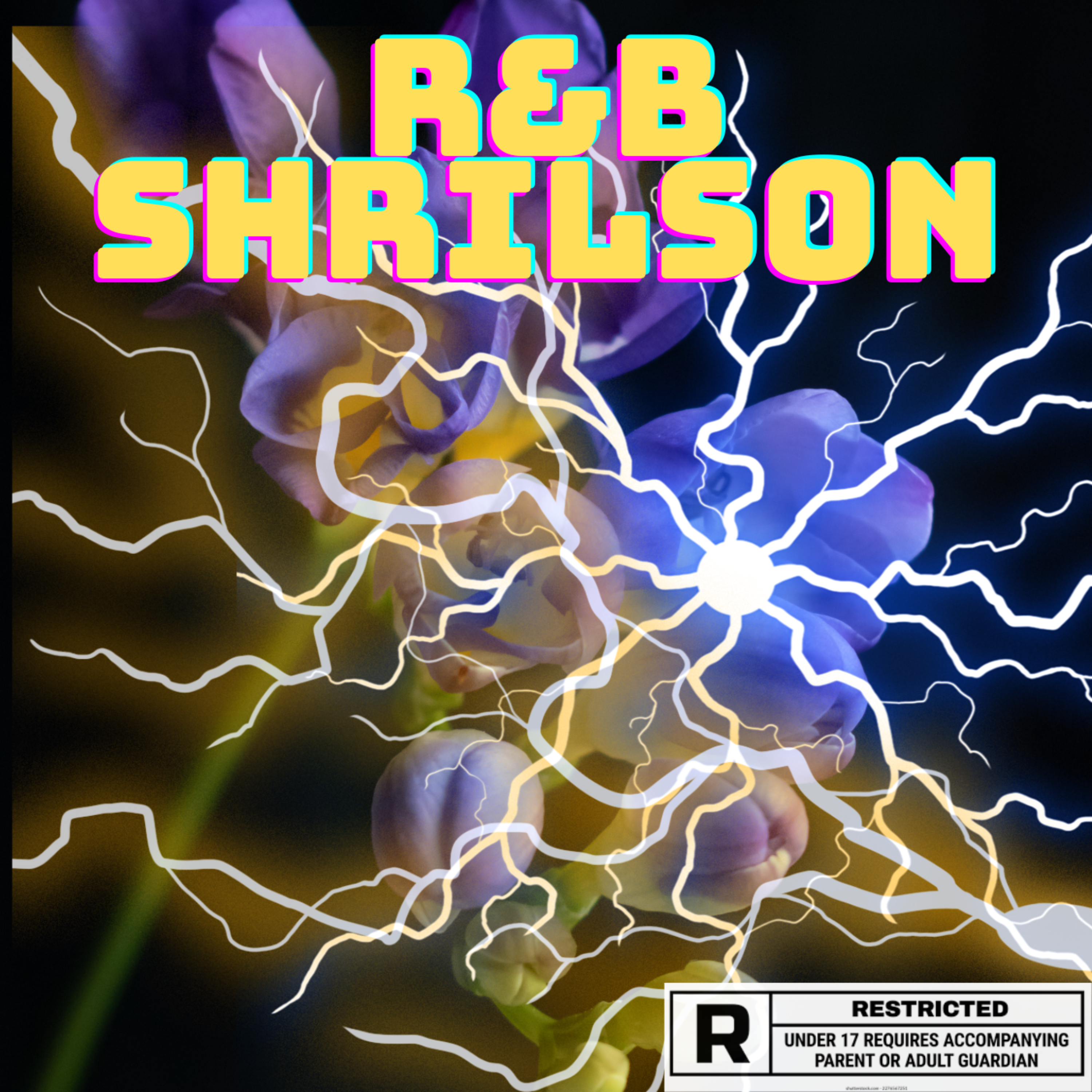 R&B SHRILSON artwork