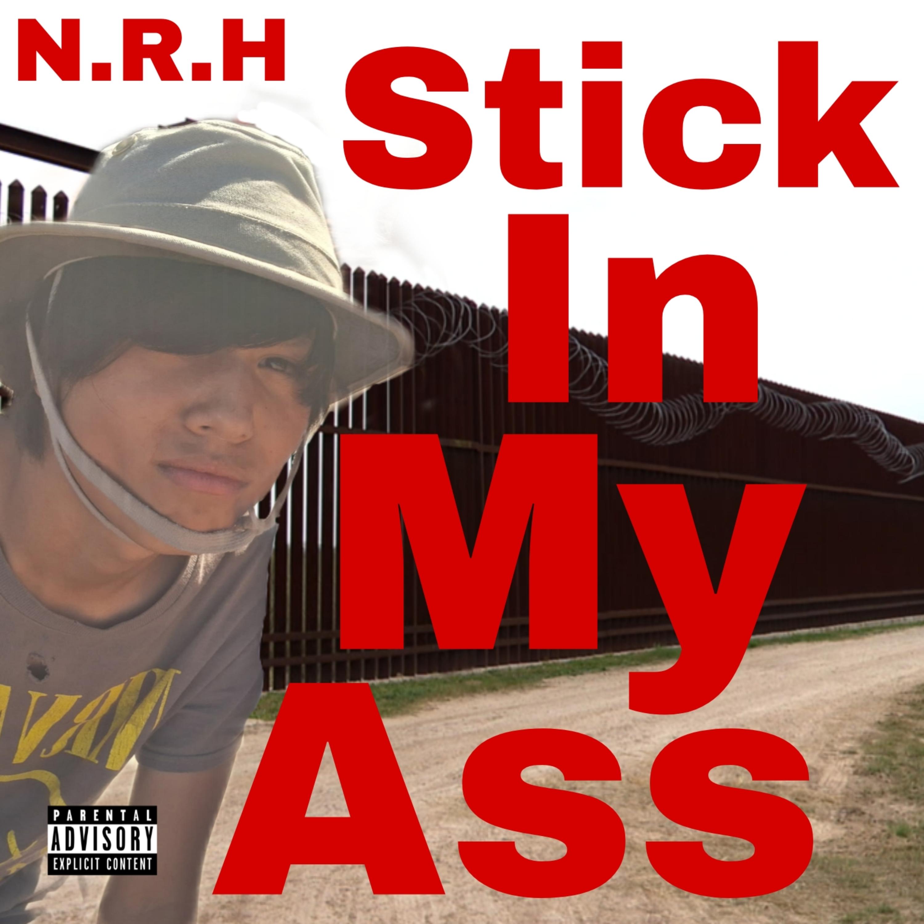 Stick In My Ass artwork