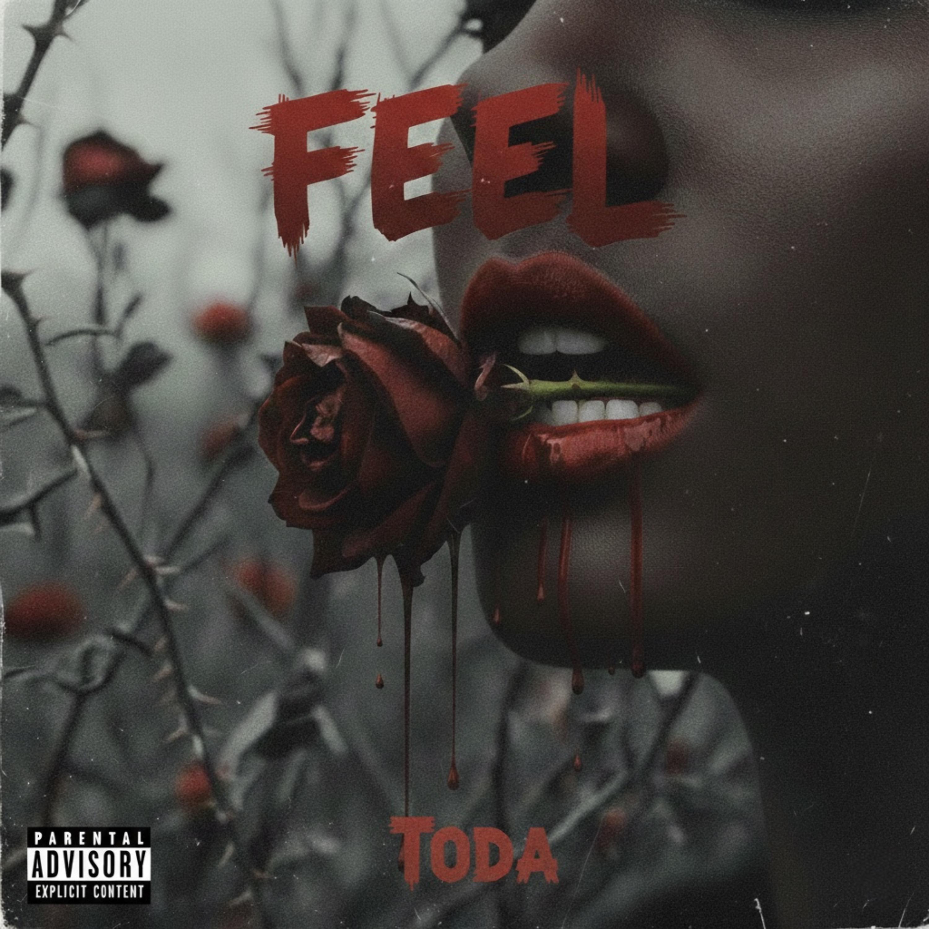 Feel artwork