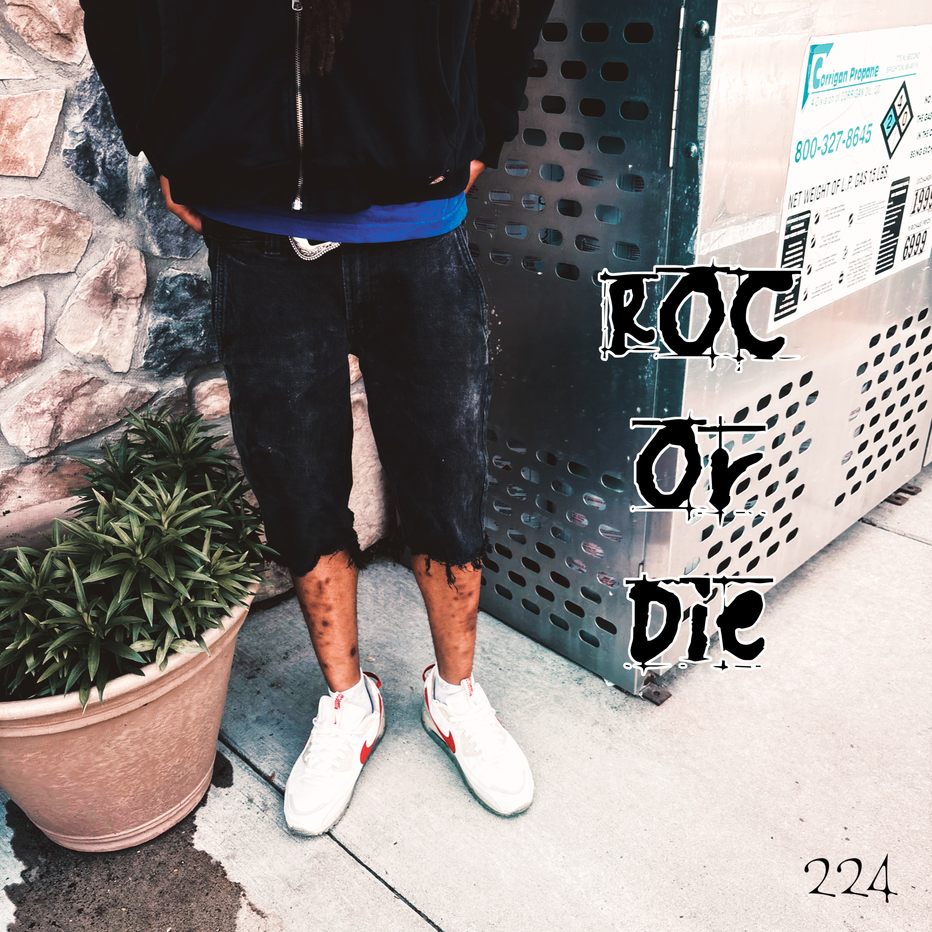 ROC OR DIE by 224tae cover art