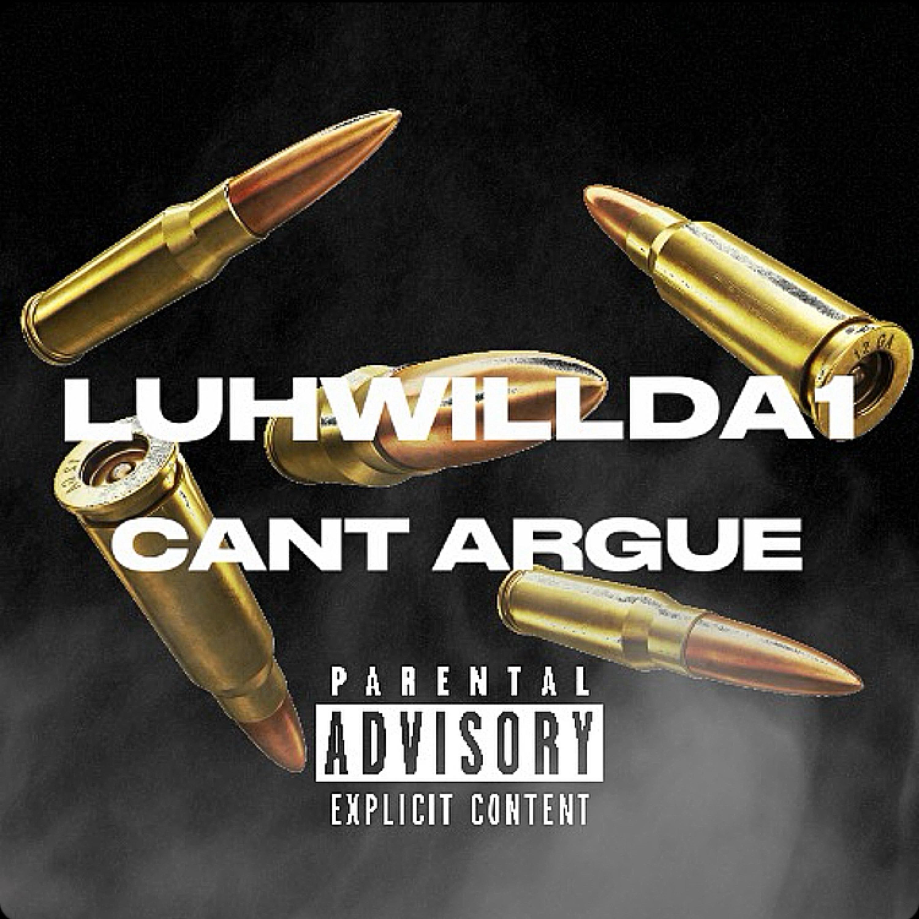 CANT ARGUE artwork