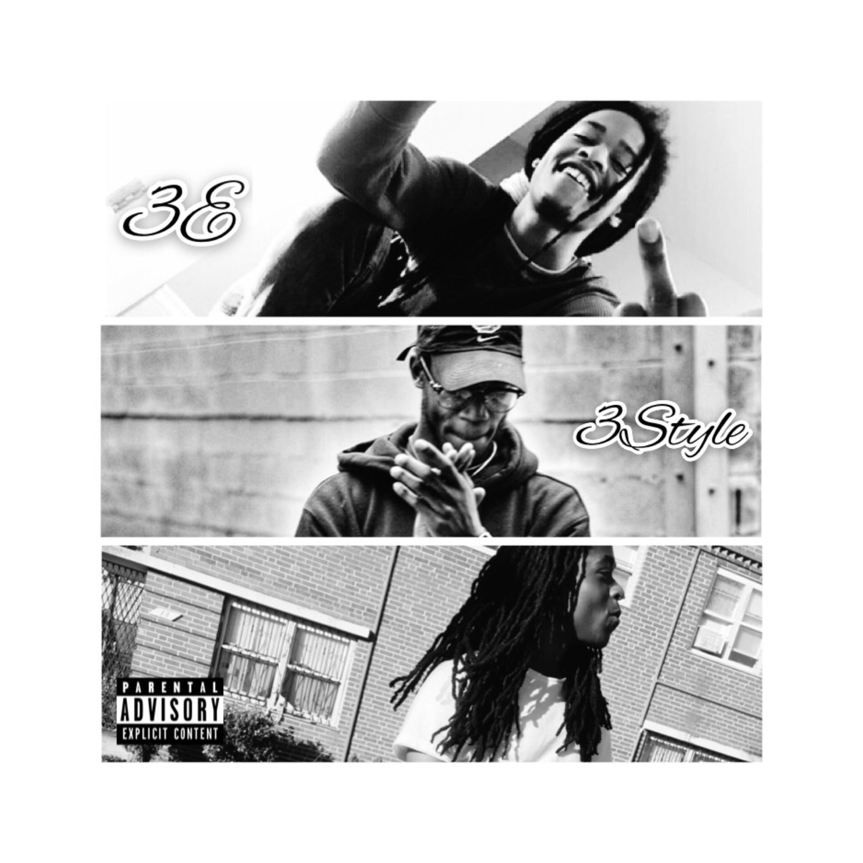 3 Style artwork