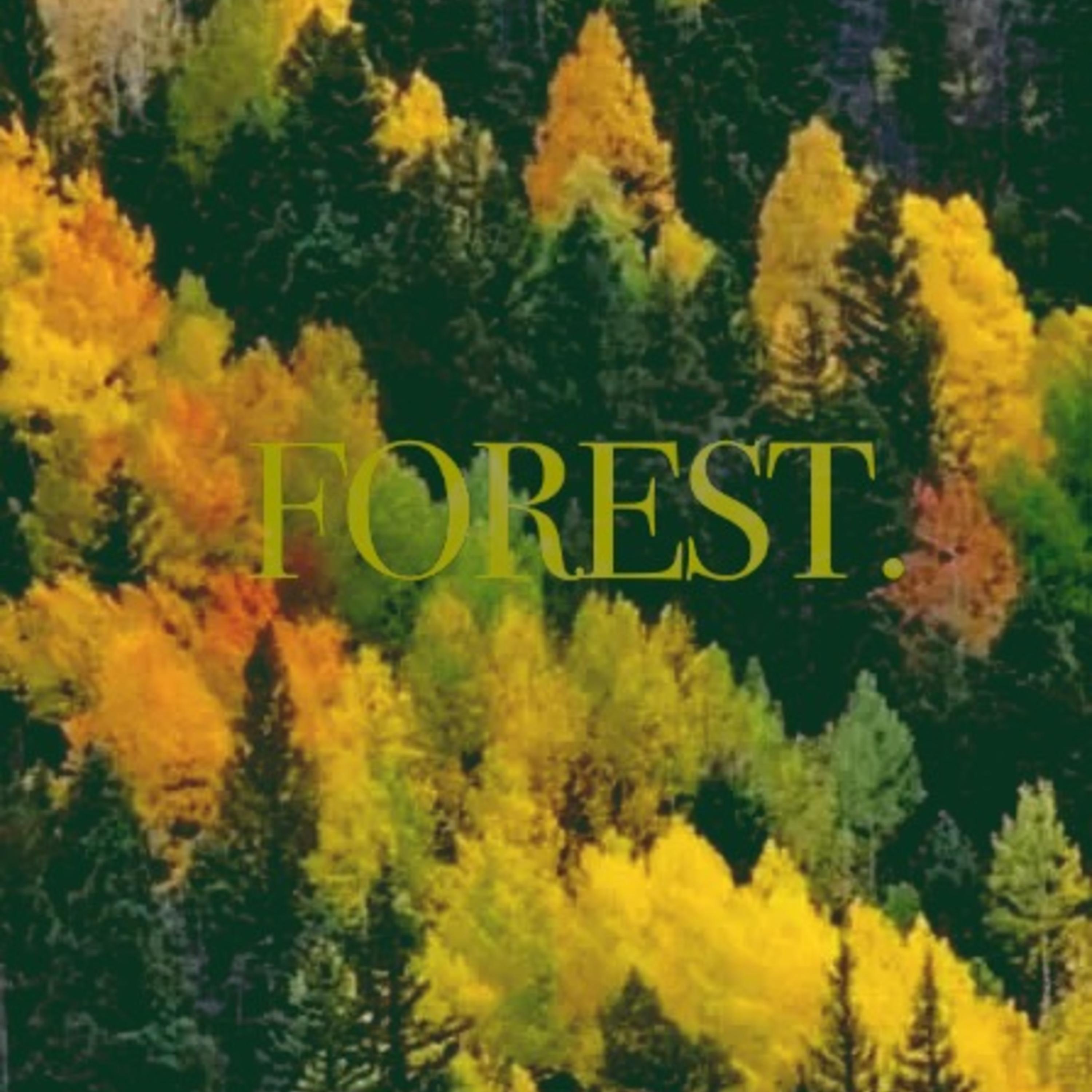 Forest artwork