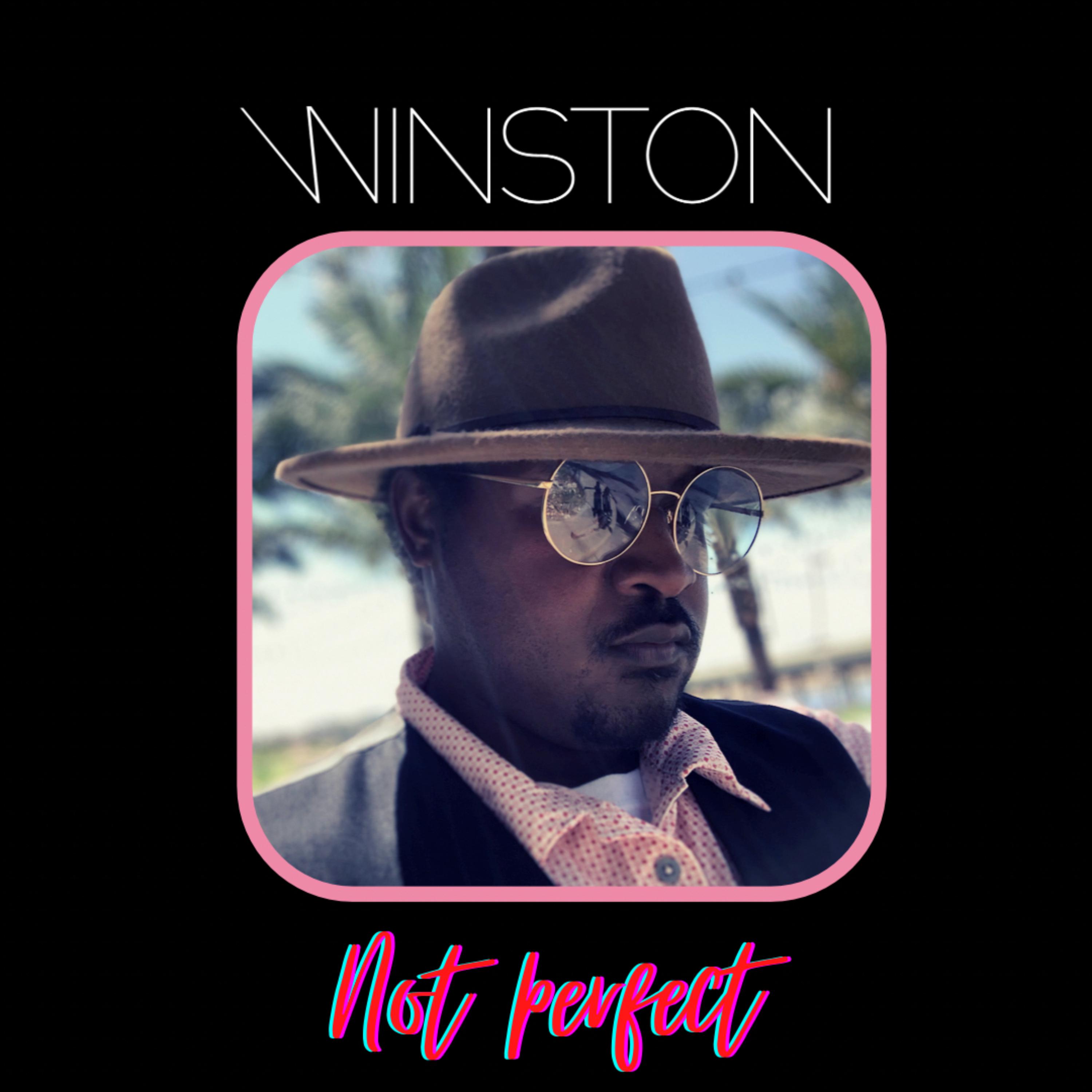 Not Perfect artwork