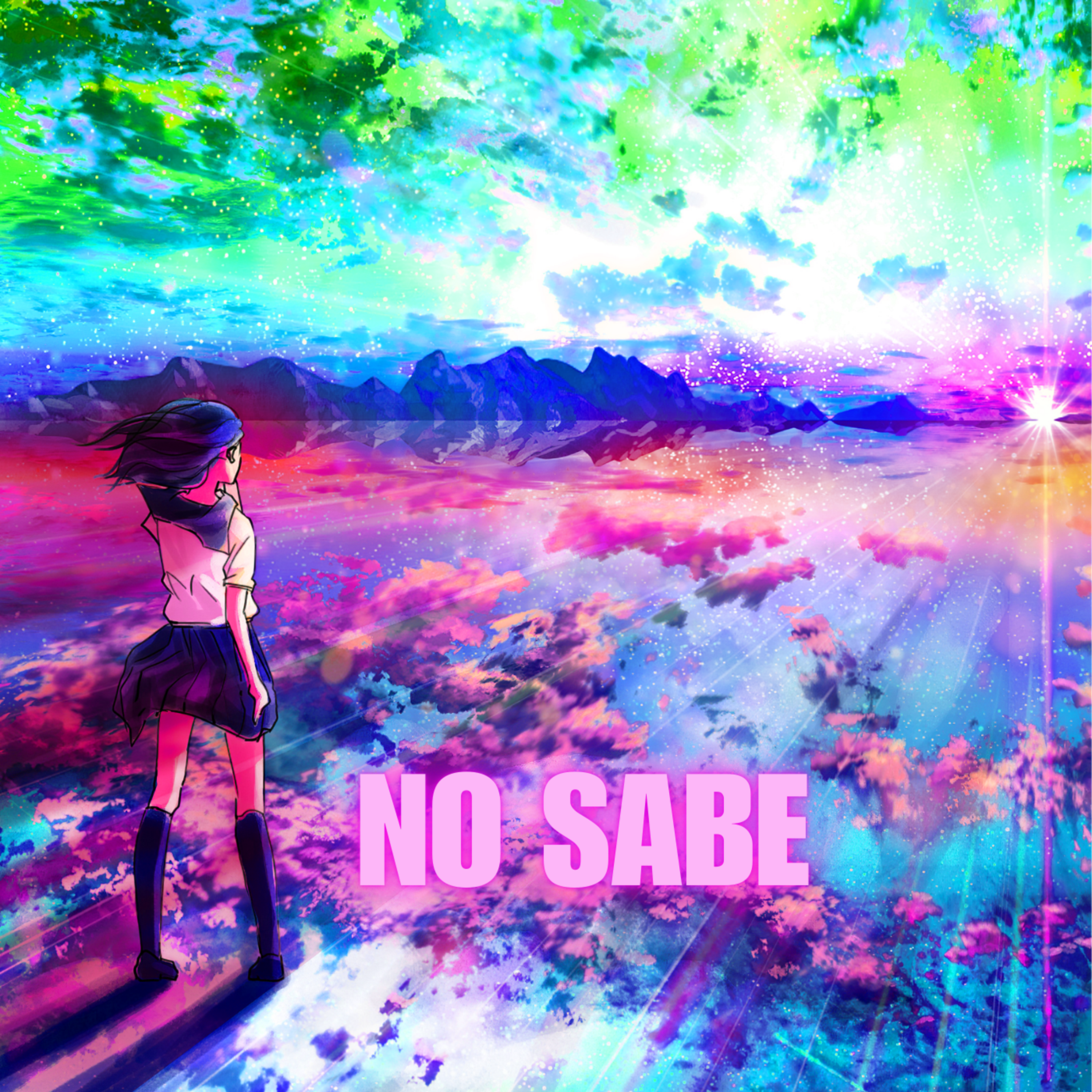 No Sabe artwork