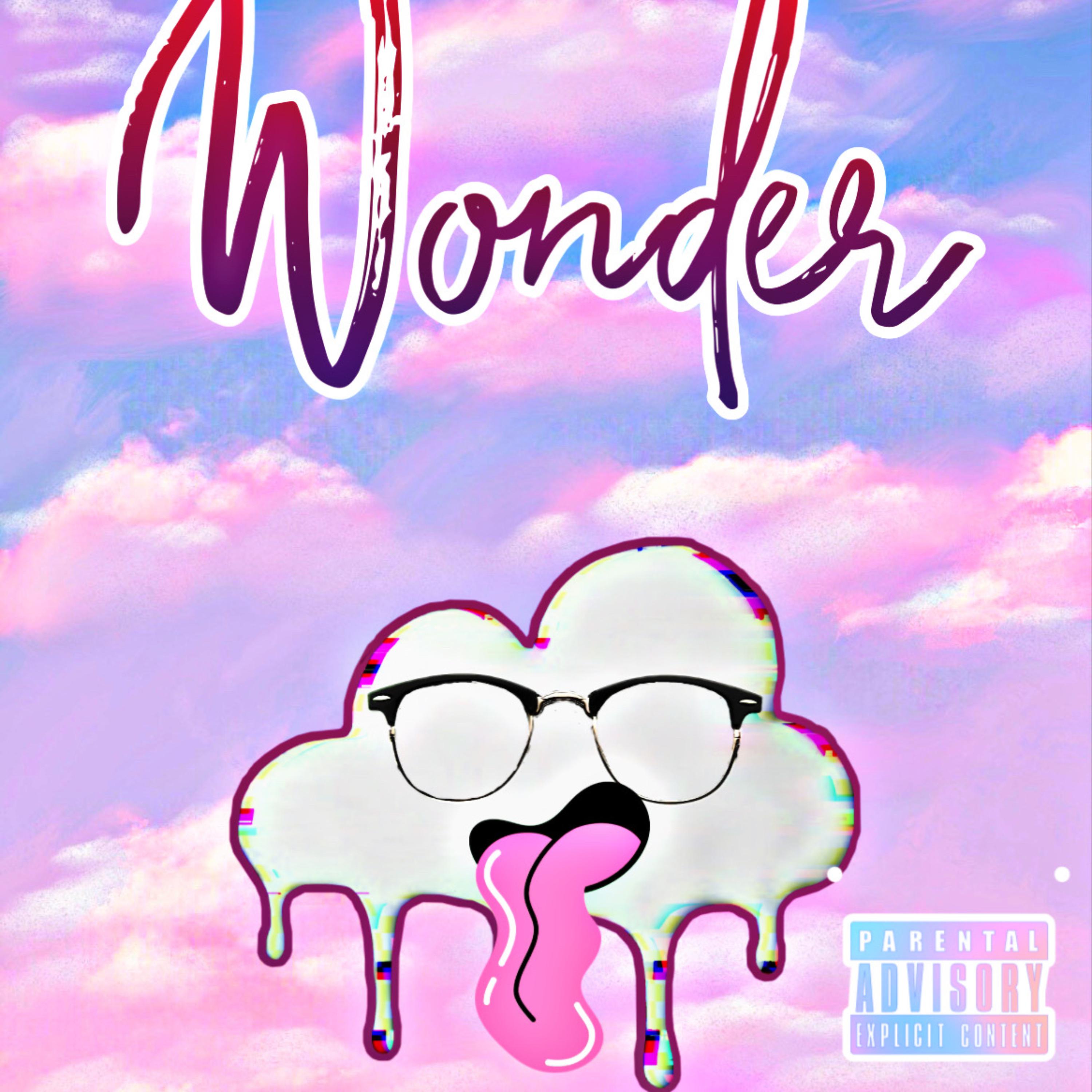 Wonder artwork