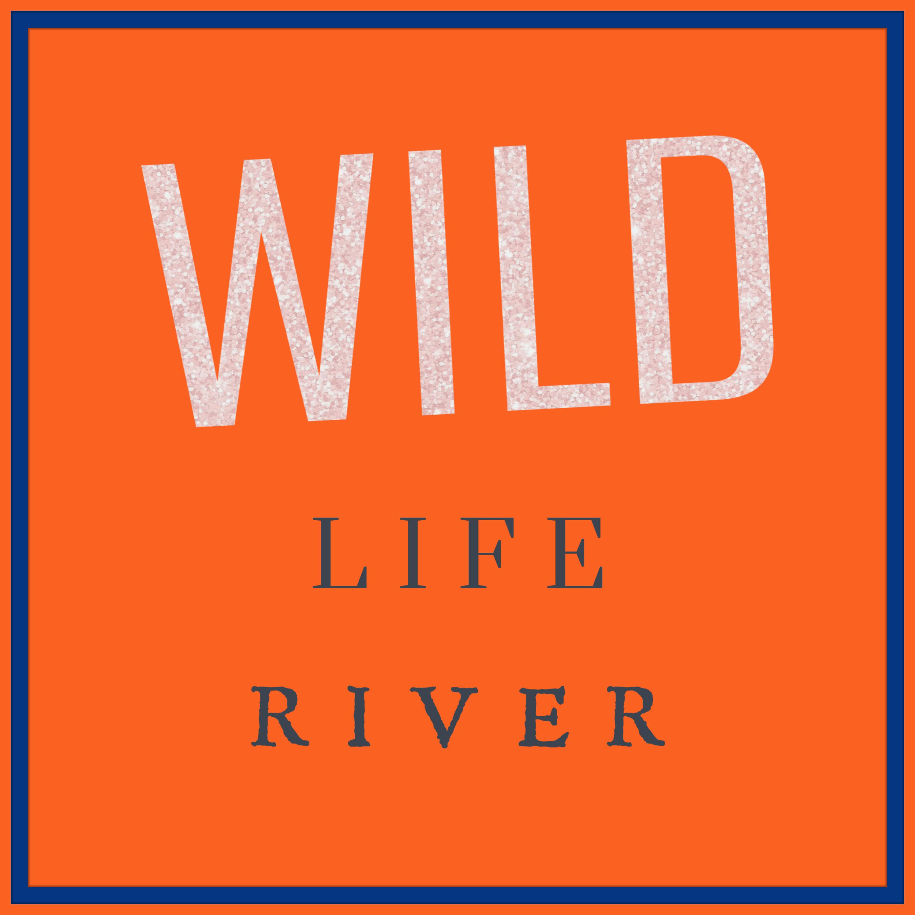 WILD LIFE RIVER artwork
