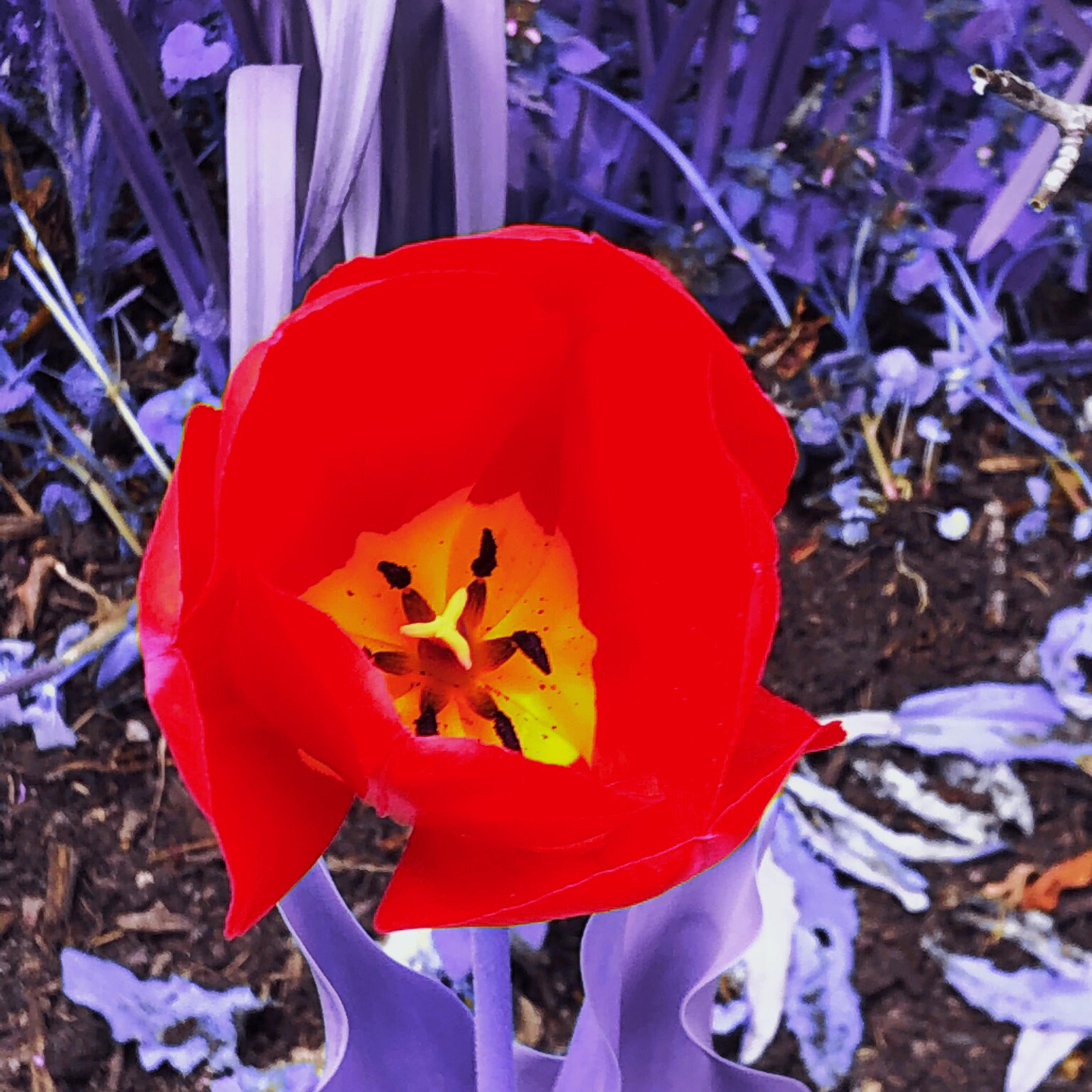 Beat Tape: Volume 5 artwork