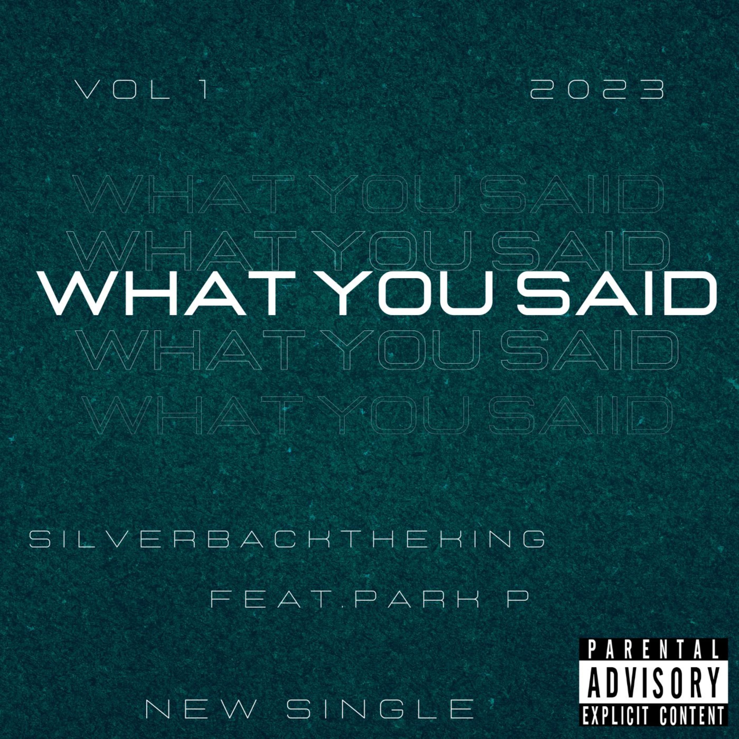 What You Said artwork