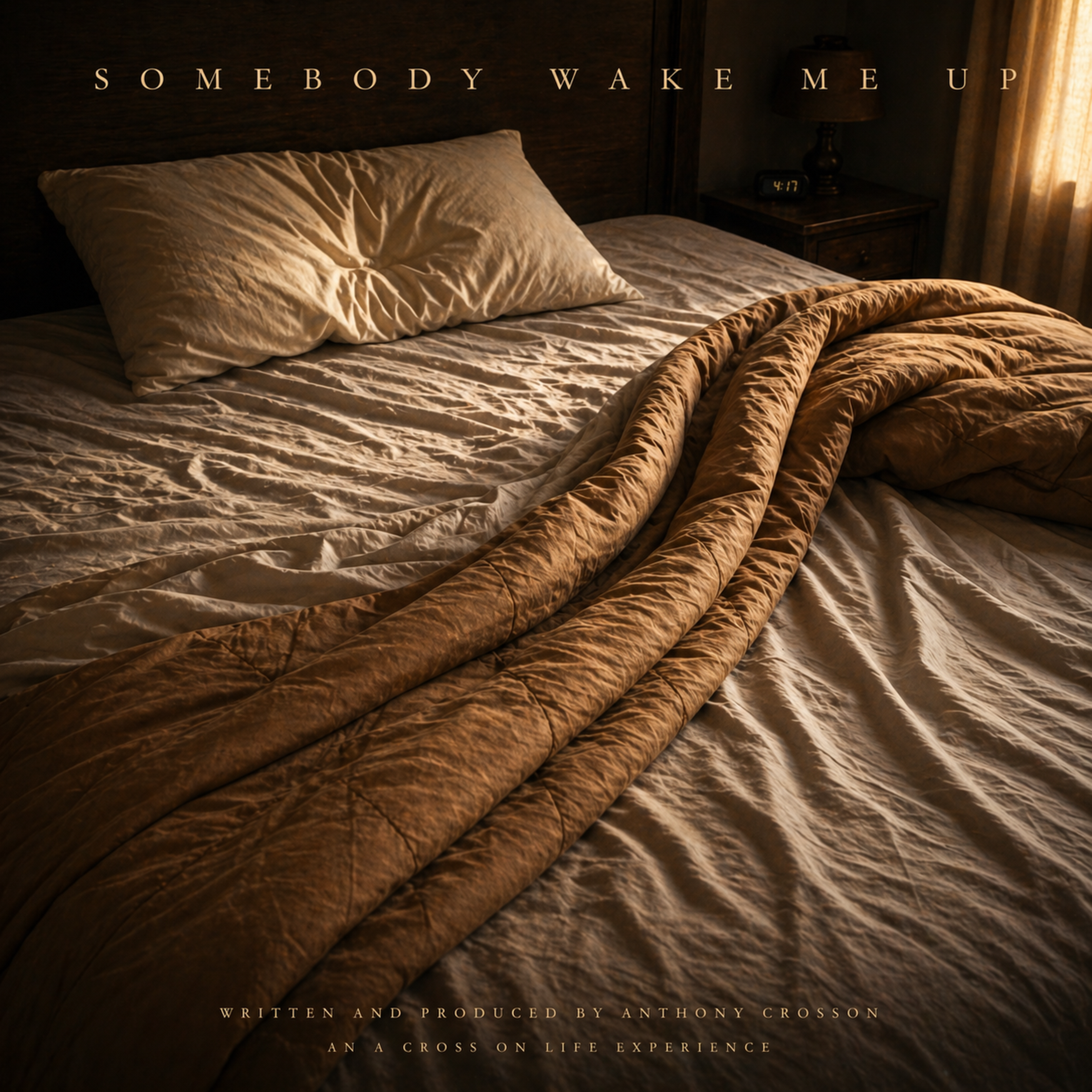 Somebody Wake Me Up artwork