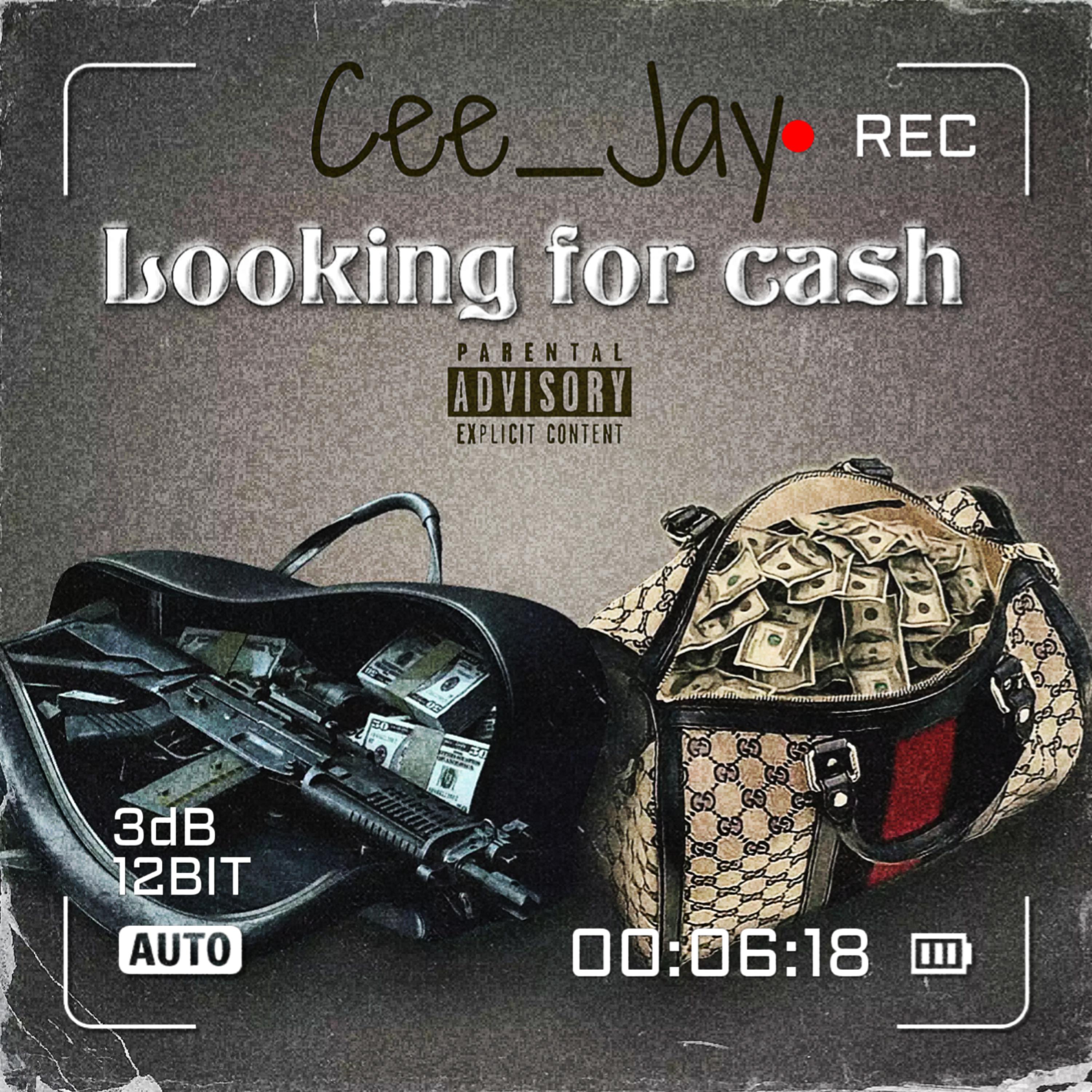 Looking For Cash artwork