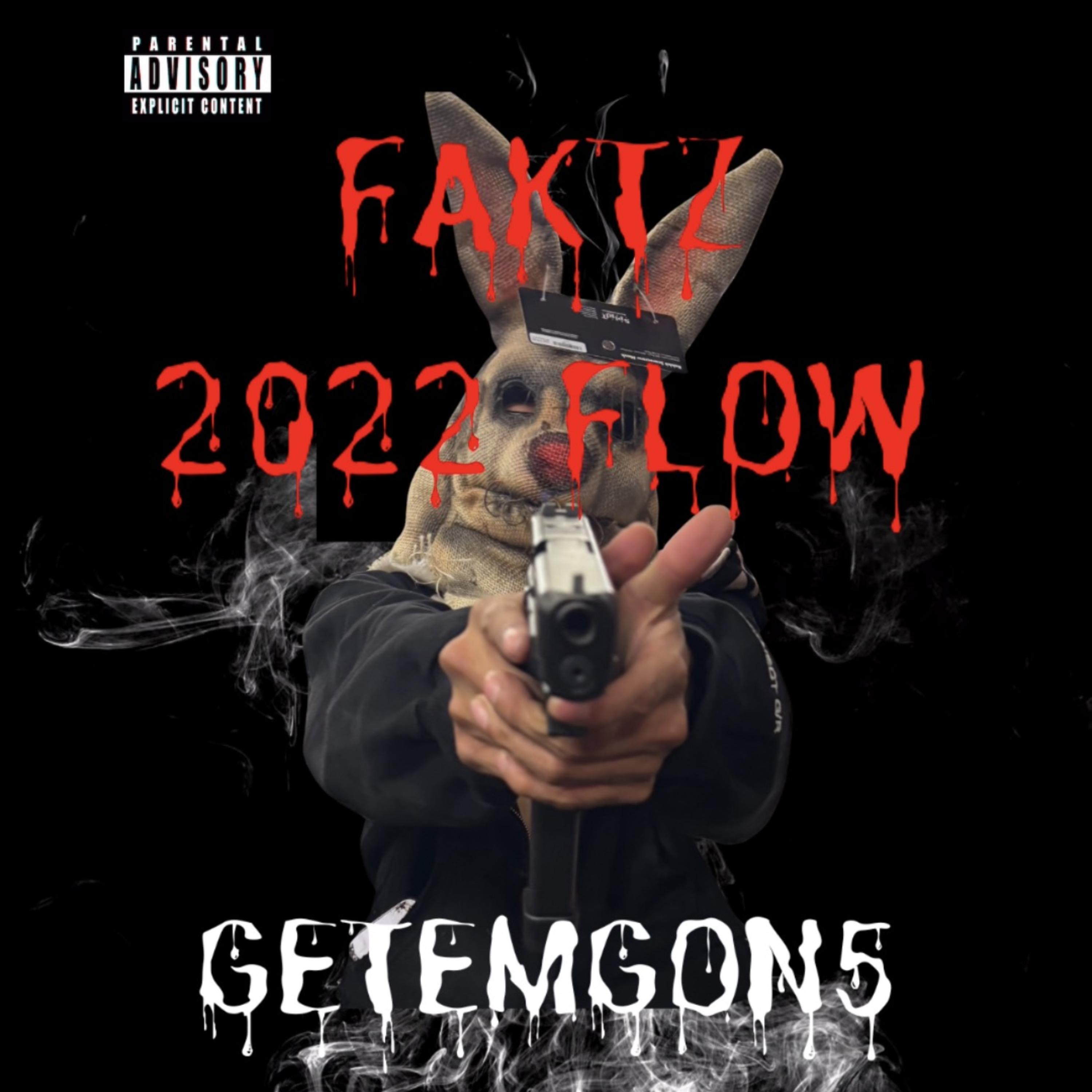 FAKTZ (2022 FLOW) artwork