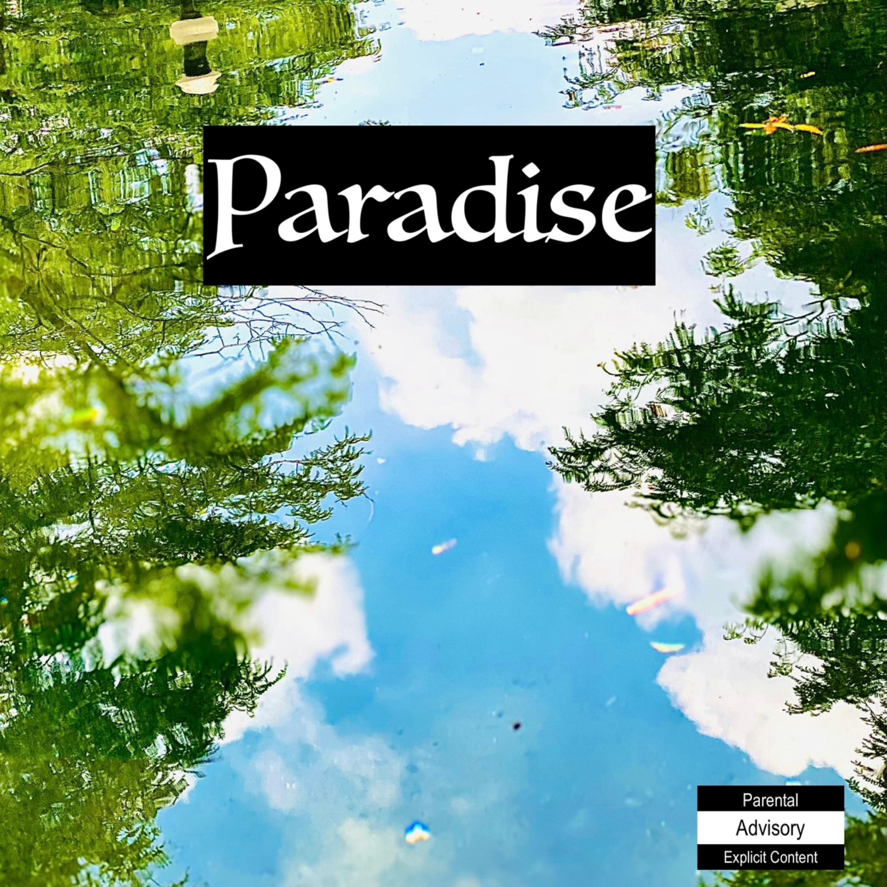Paradise artwork
