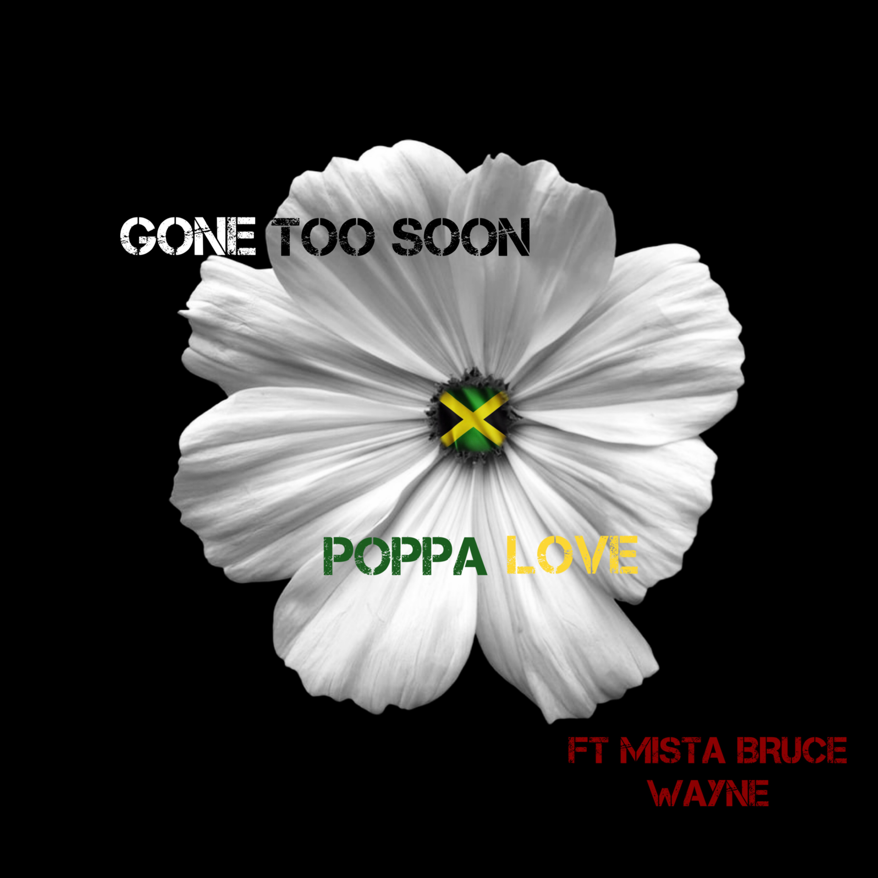 GONE TOO SOON artwork