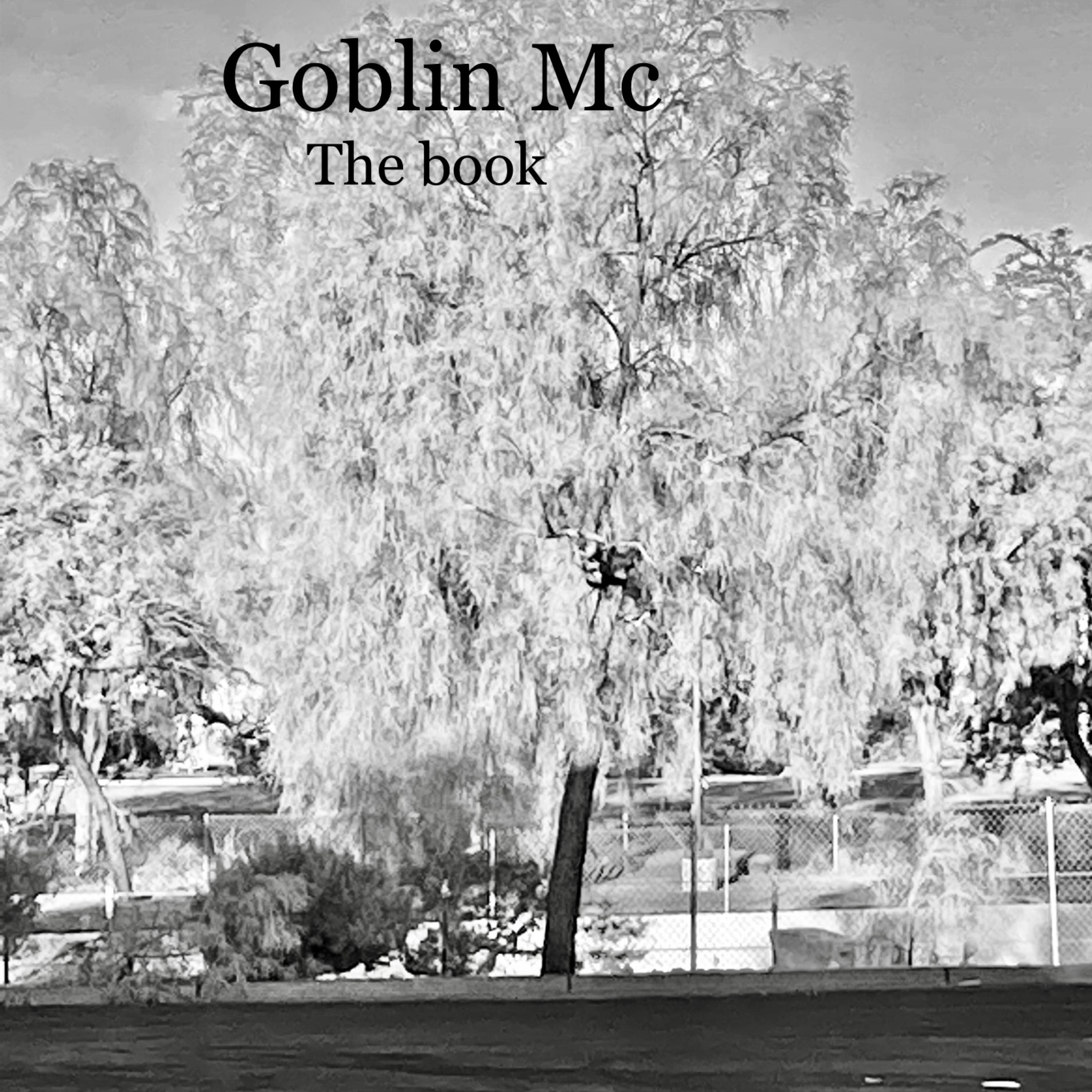 The Book artwork