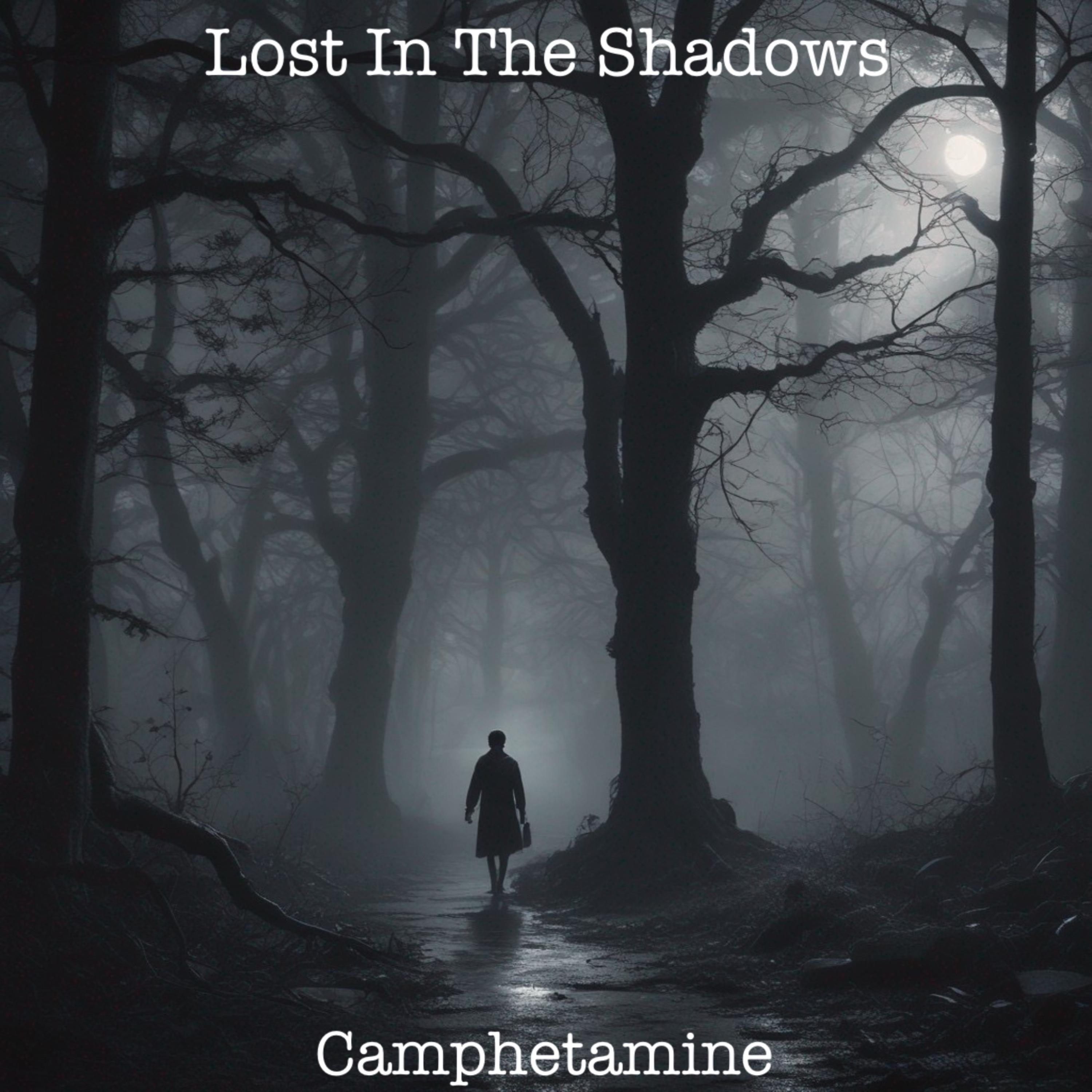 Lost In The Shadows artwork