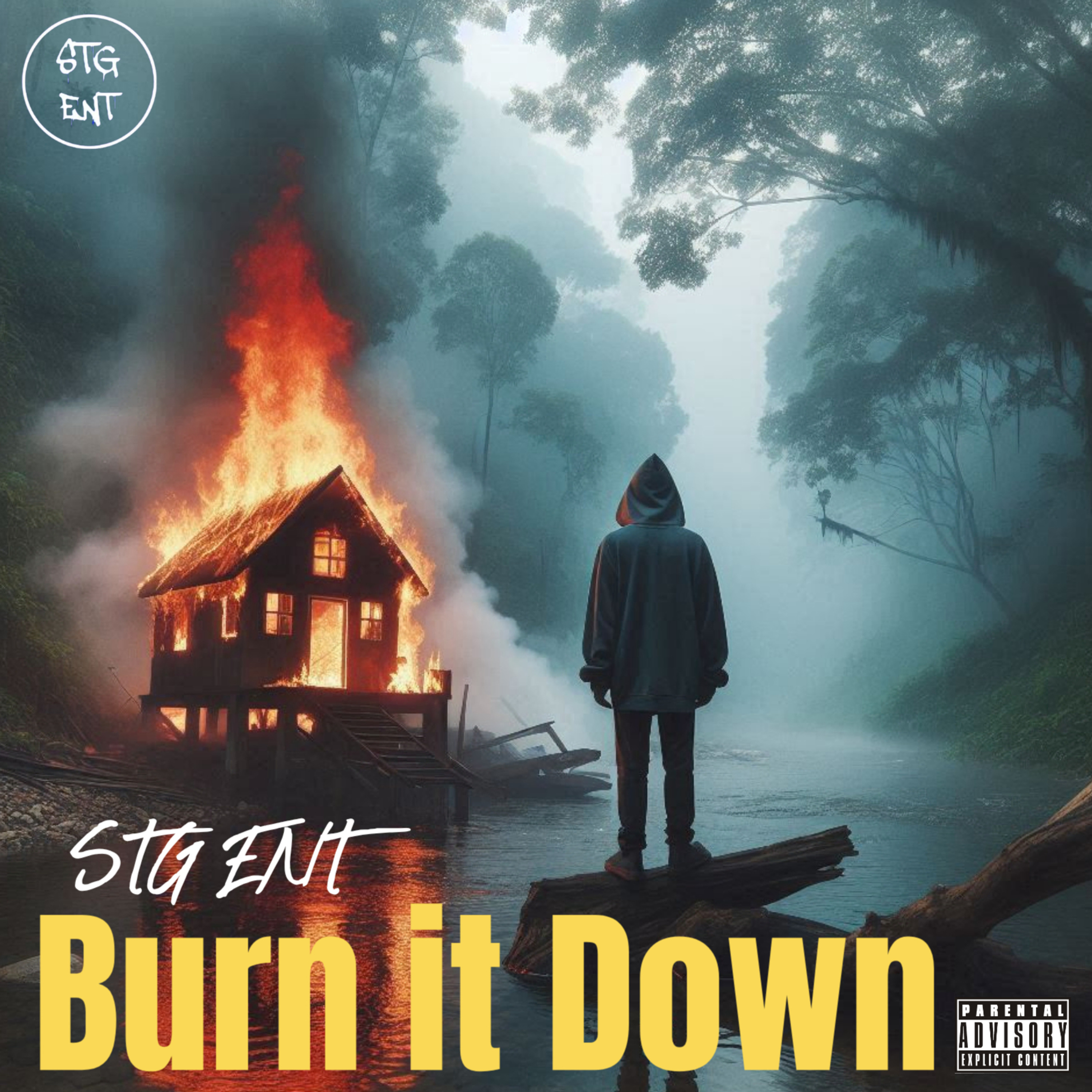 Burn It Down by STG ENT cover art