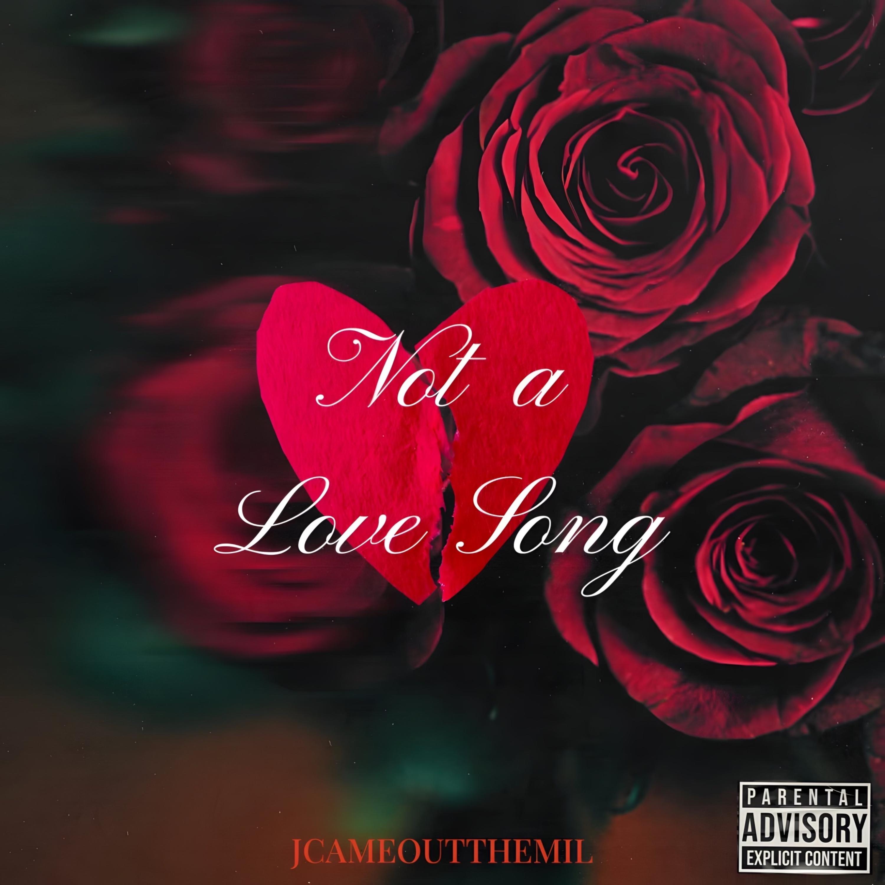 Not a Love Song artwork